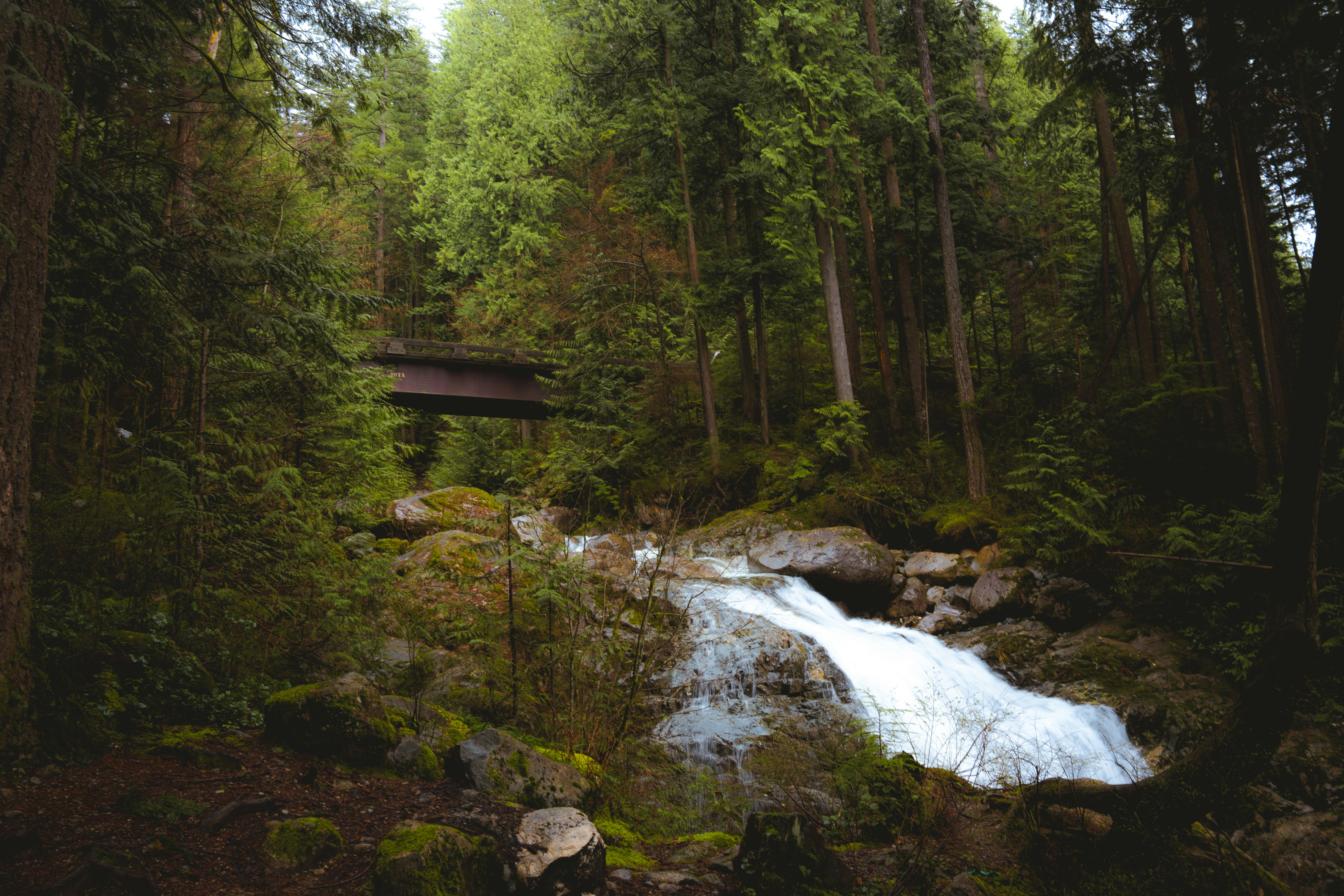 Photo by bylukemiller