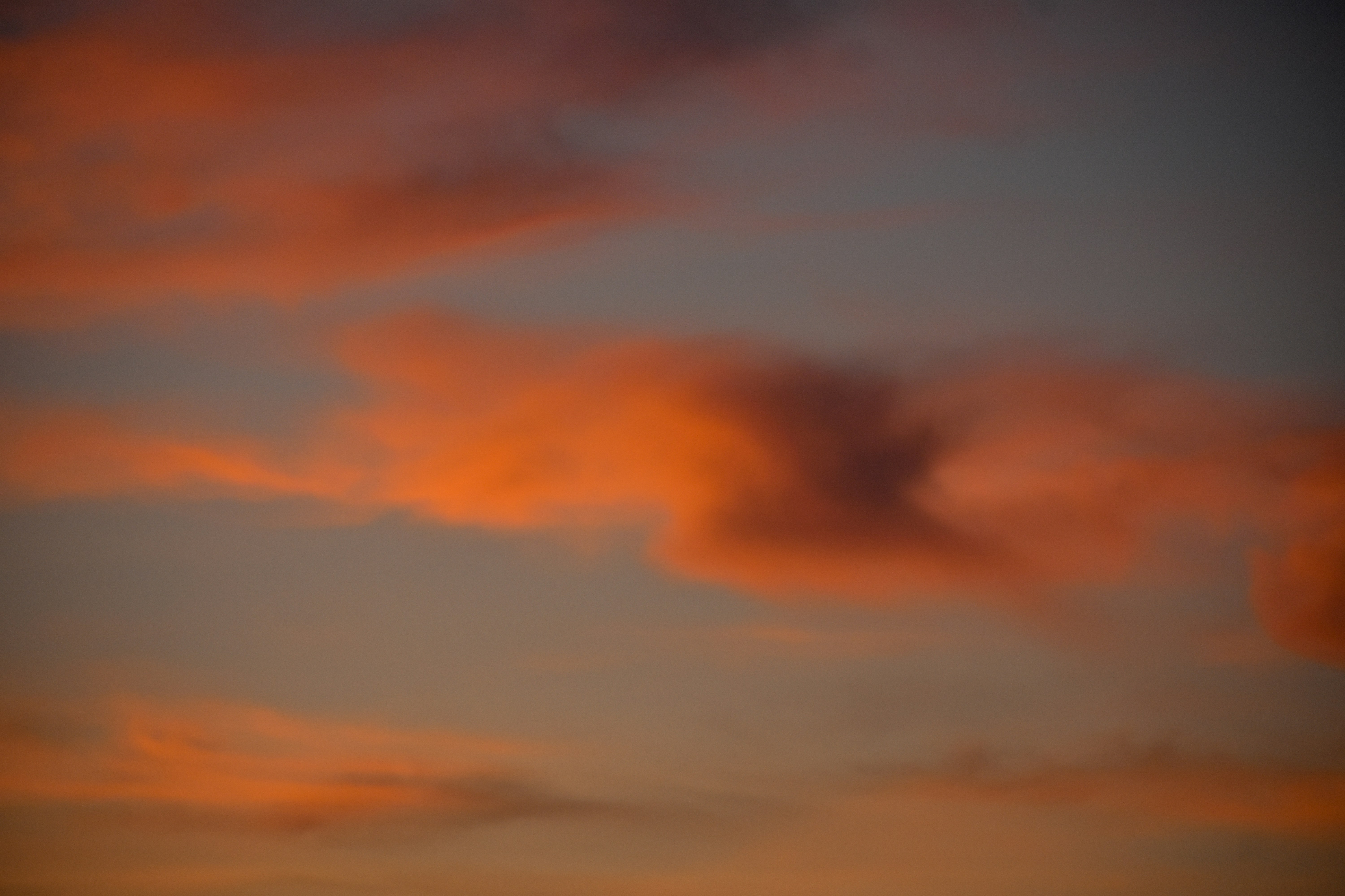 Photo by neelakshi_singh_