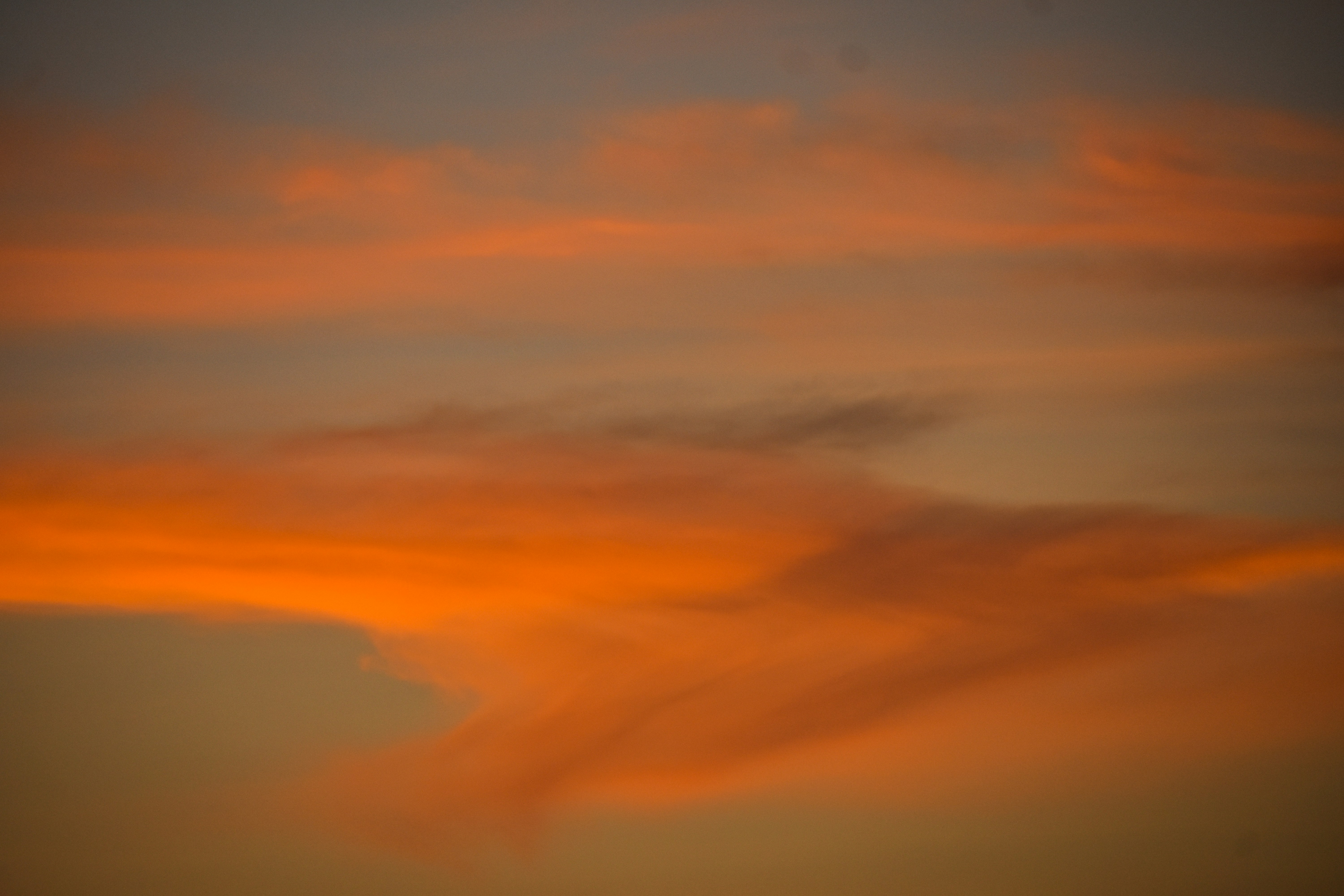 Photo by neelakshi_singh_