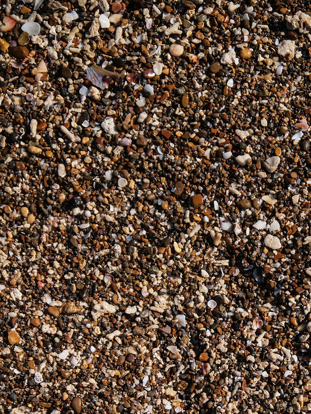 a close up of rocks and gravel on the ground