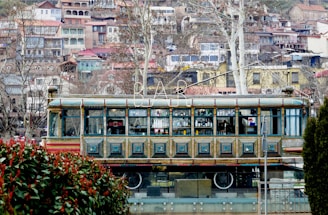tbilisi culture
