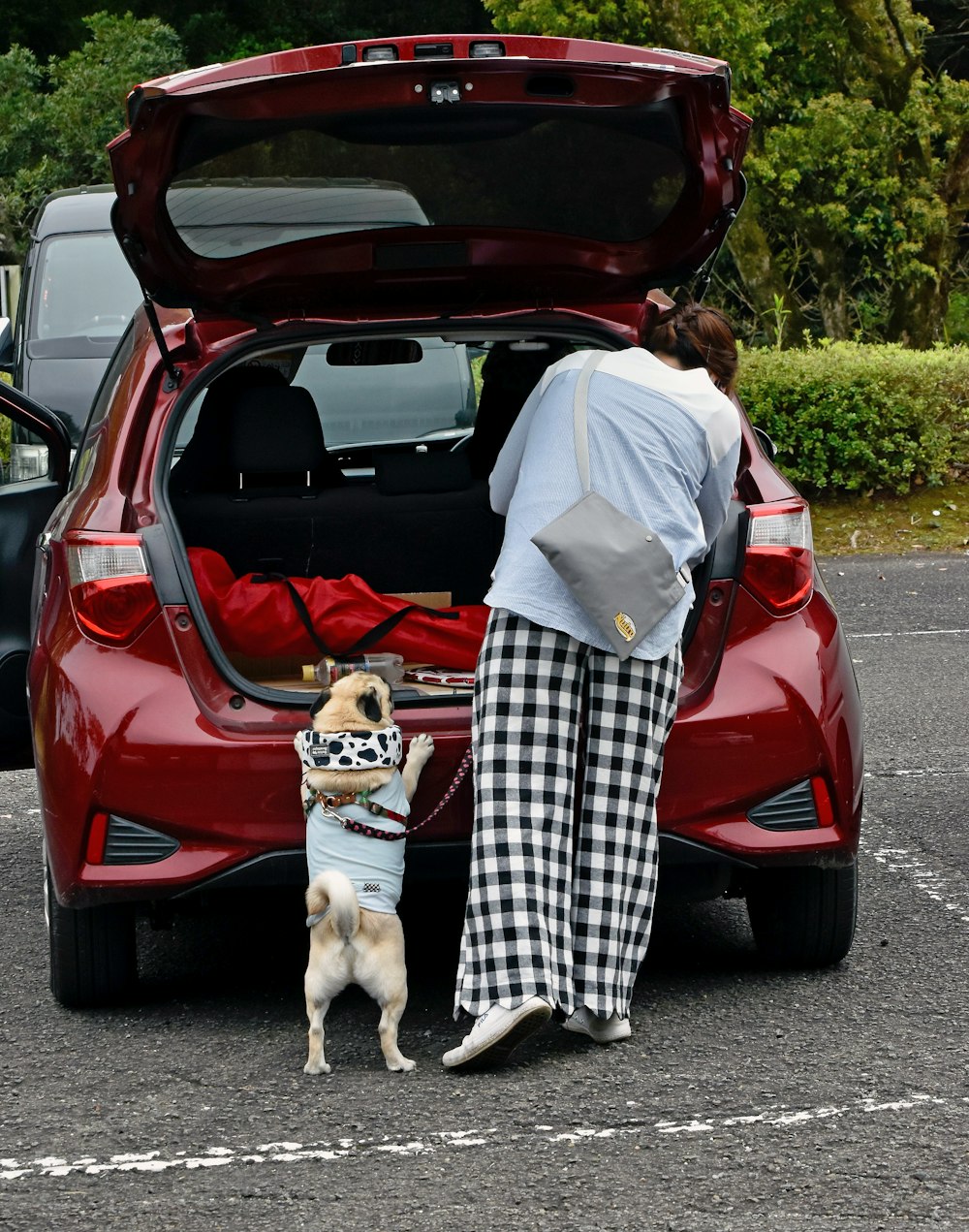 a woman standing next to a dog in a parking lot