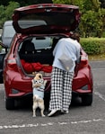 a woman standing next to a dog in a parking lot