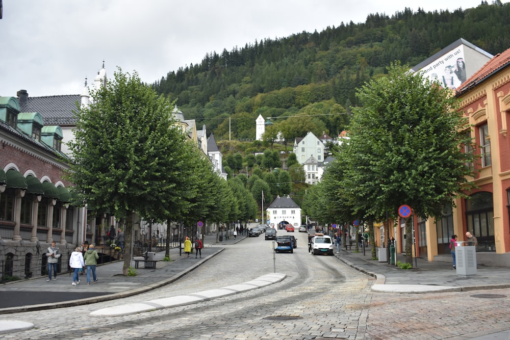 a street lined with buildings and trees with a mountain in the background