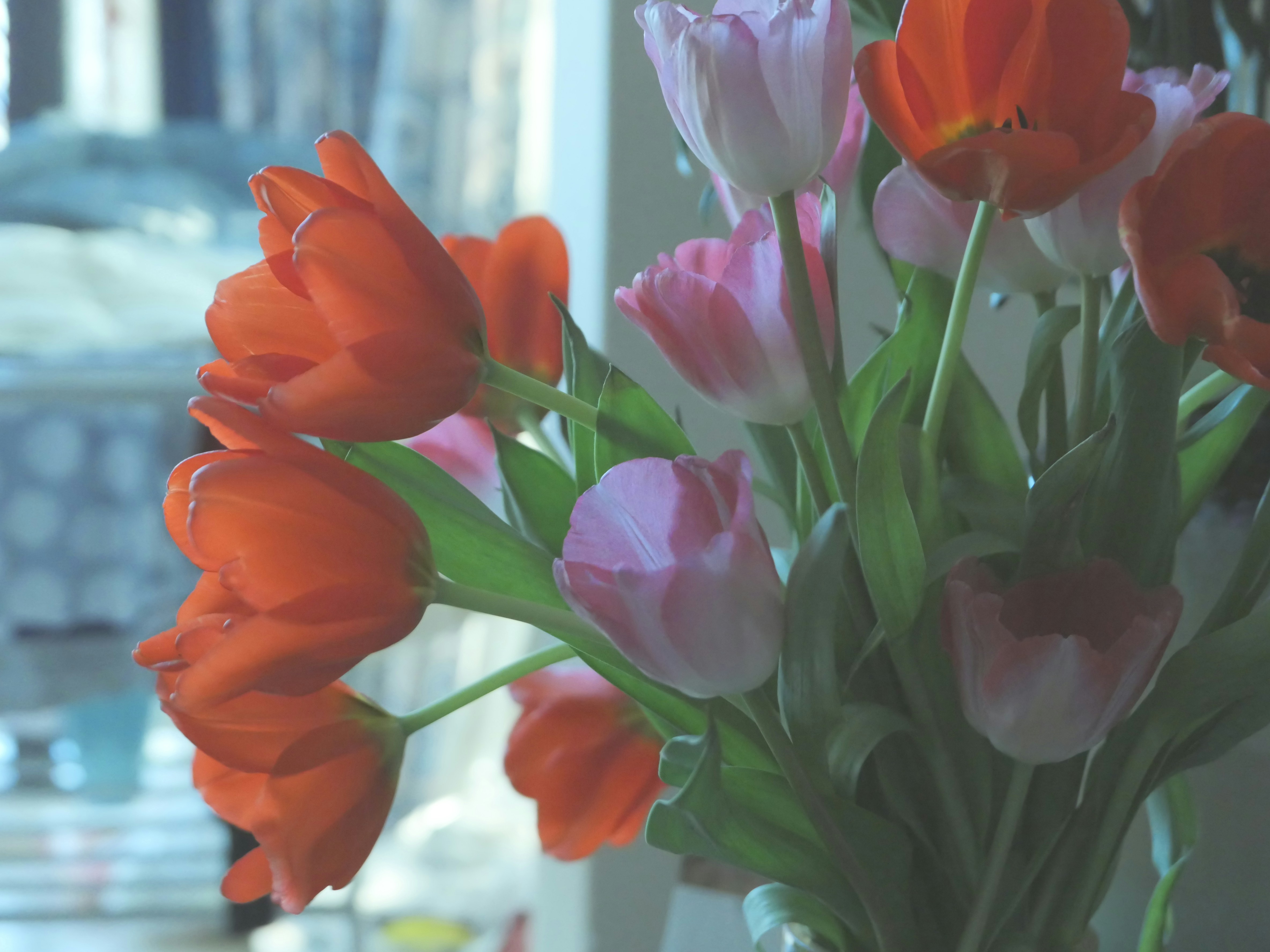 Photo by sugarcaneee