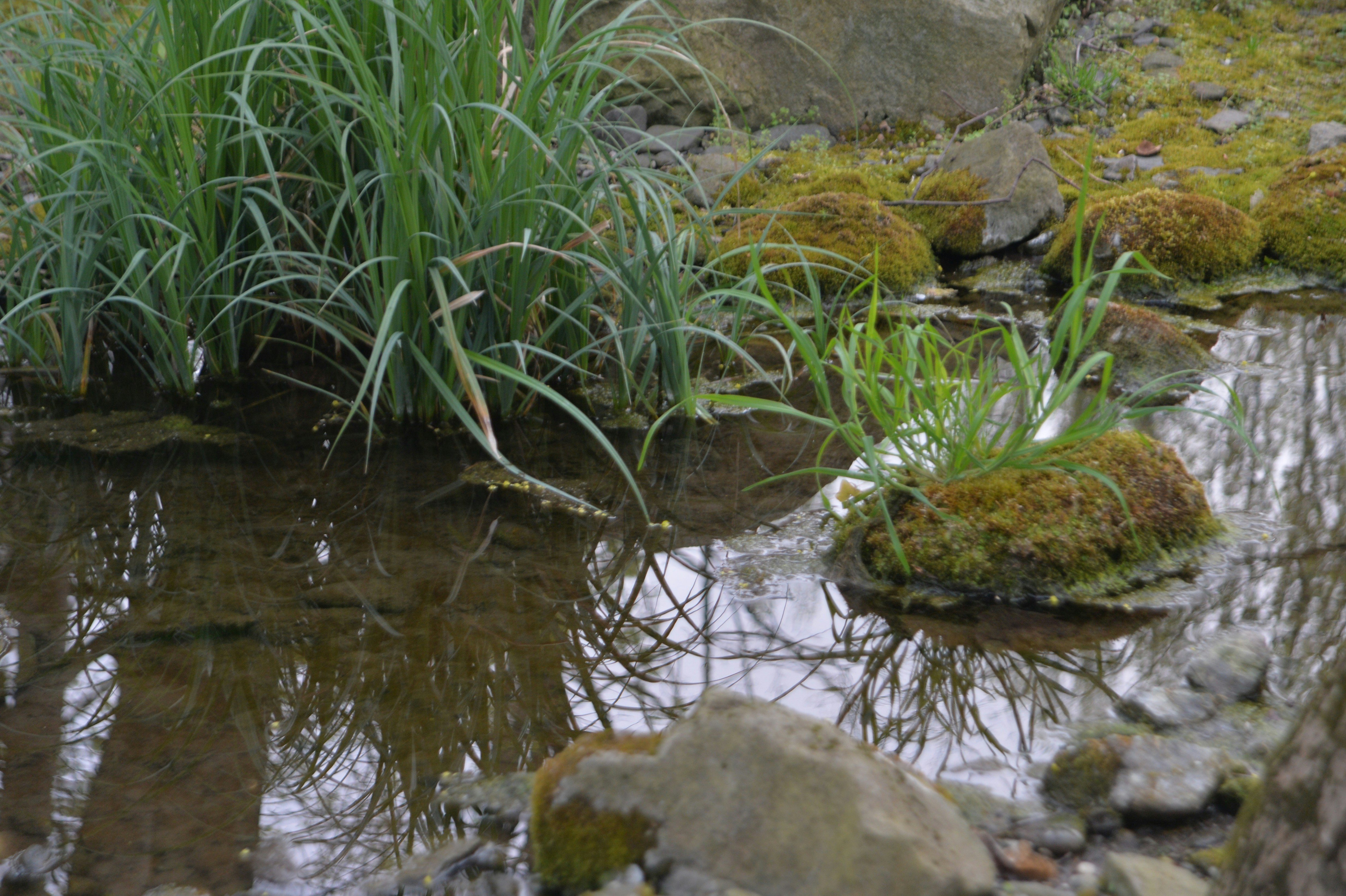 Photo by baliko_andras