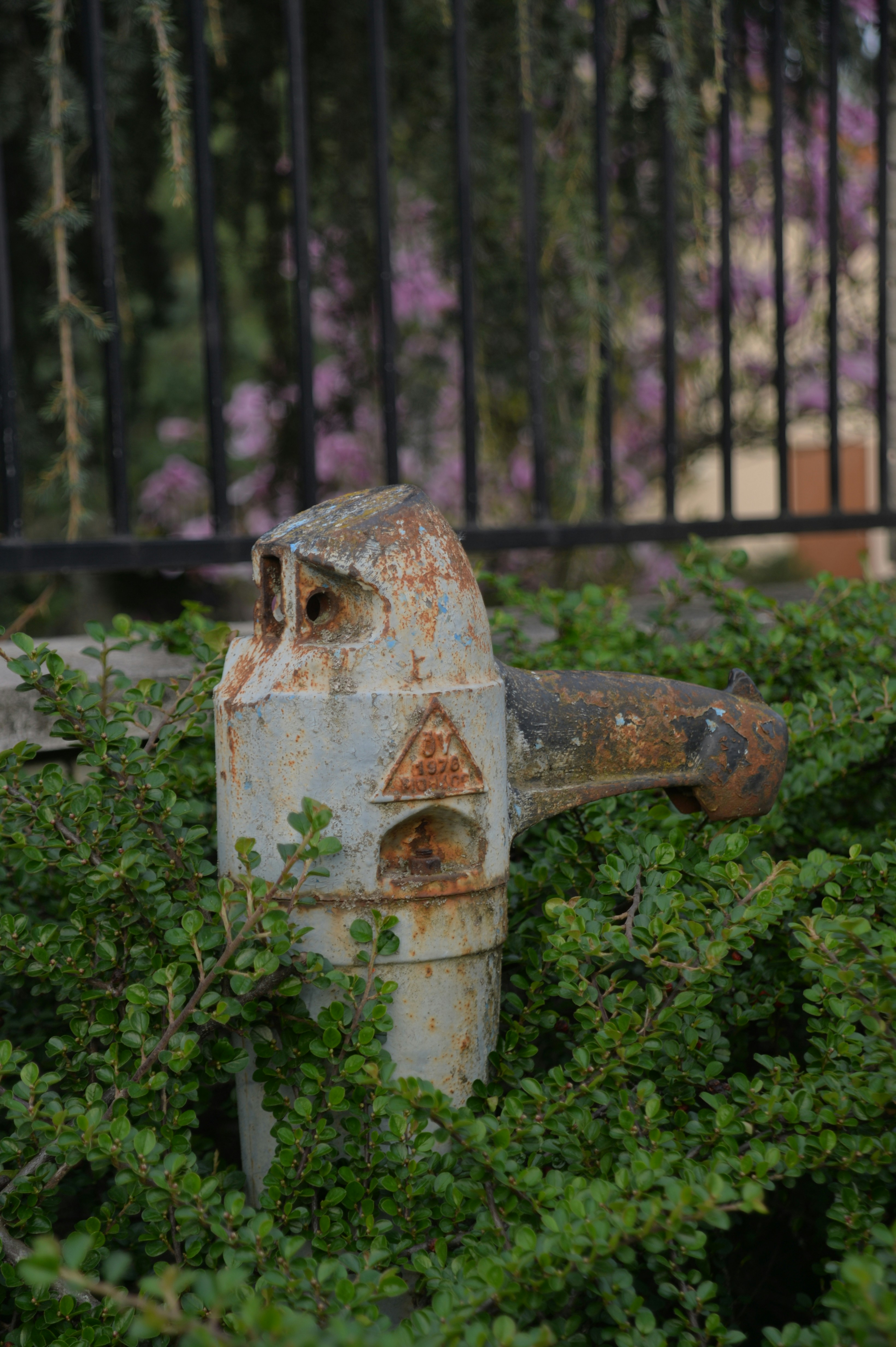 Photo by baliko_andras