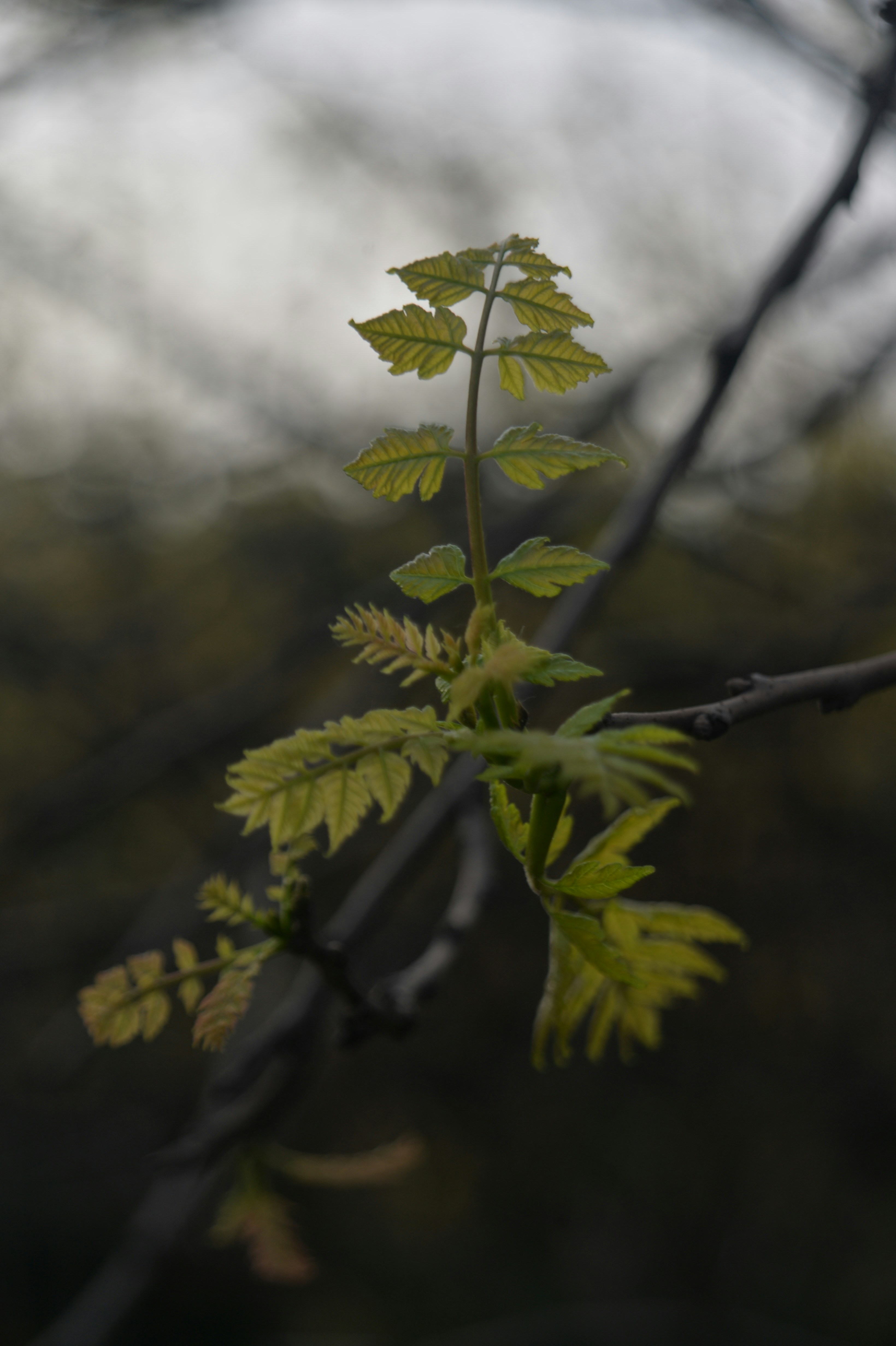 Photo by baliko_andras