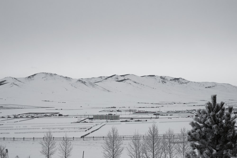 a black and white photo of a snowy landscape