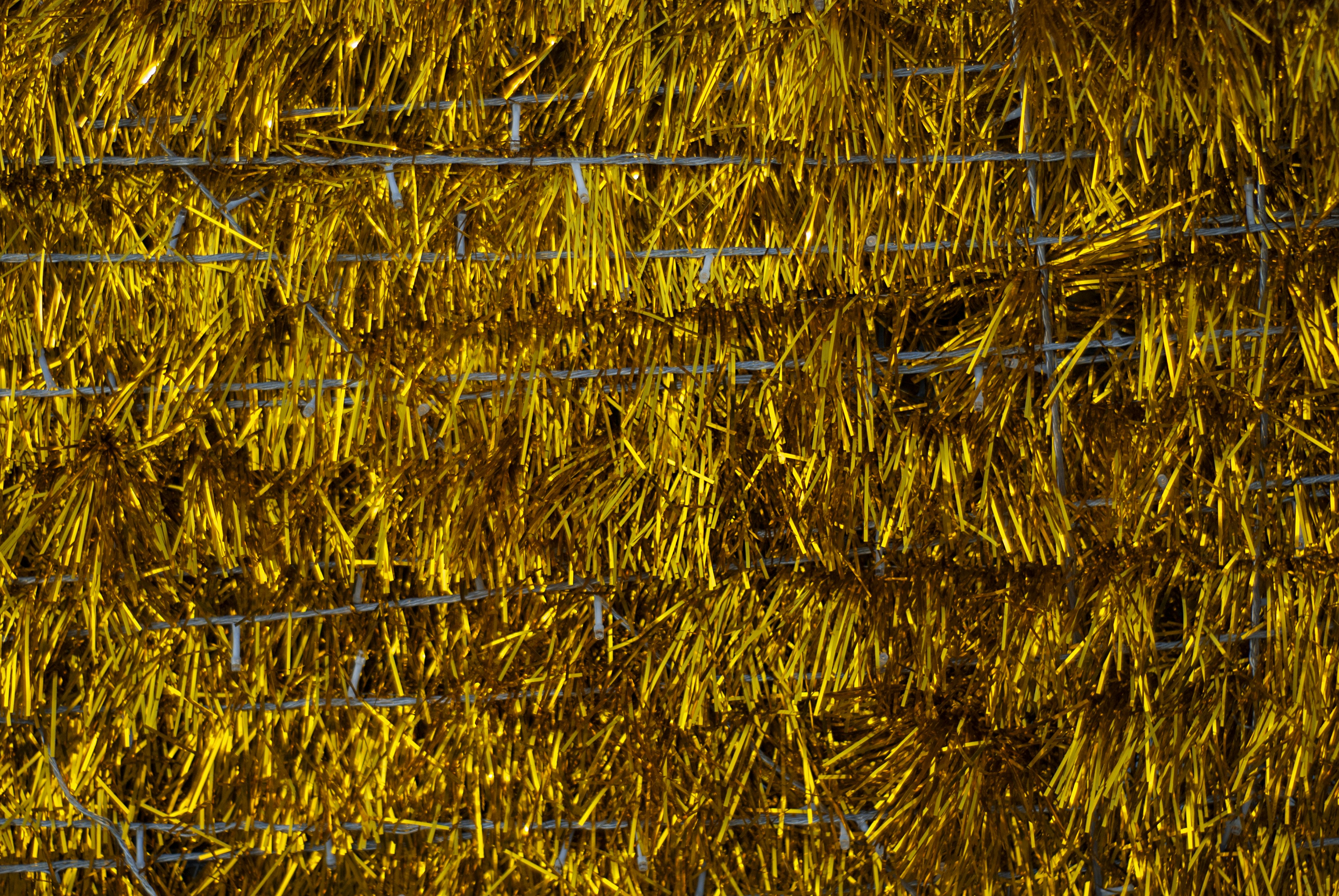 Photo by kovalskihelga