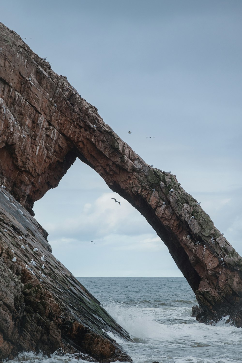 a large rock formation with a seagull flying over it