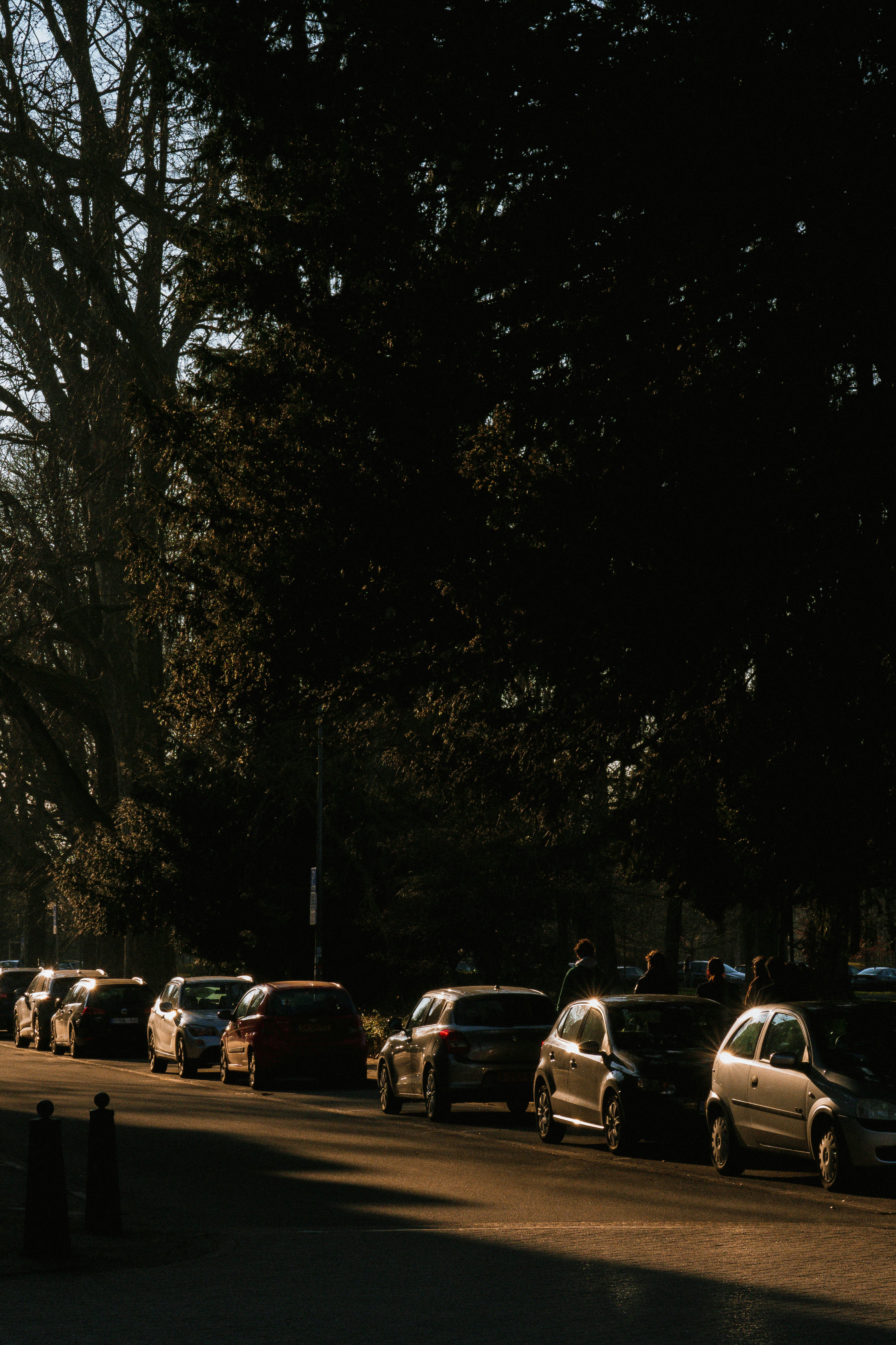 Photo by seenthroughmpk