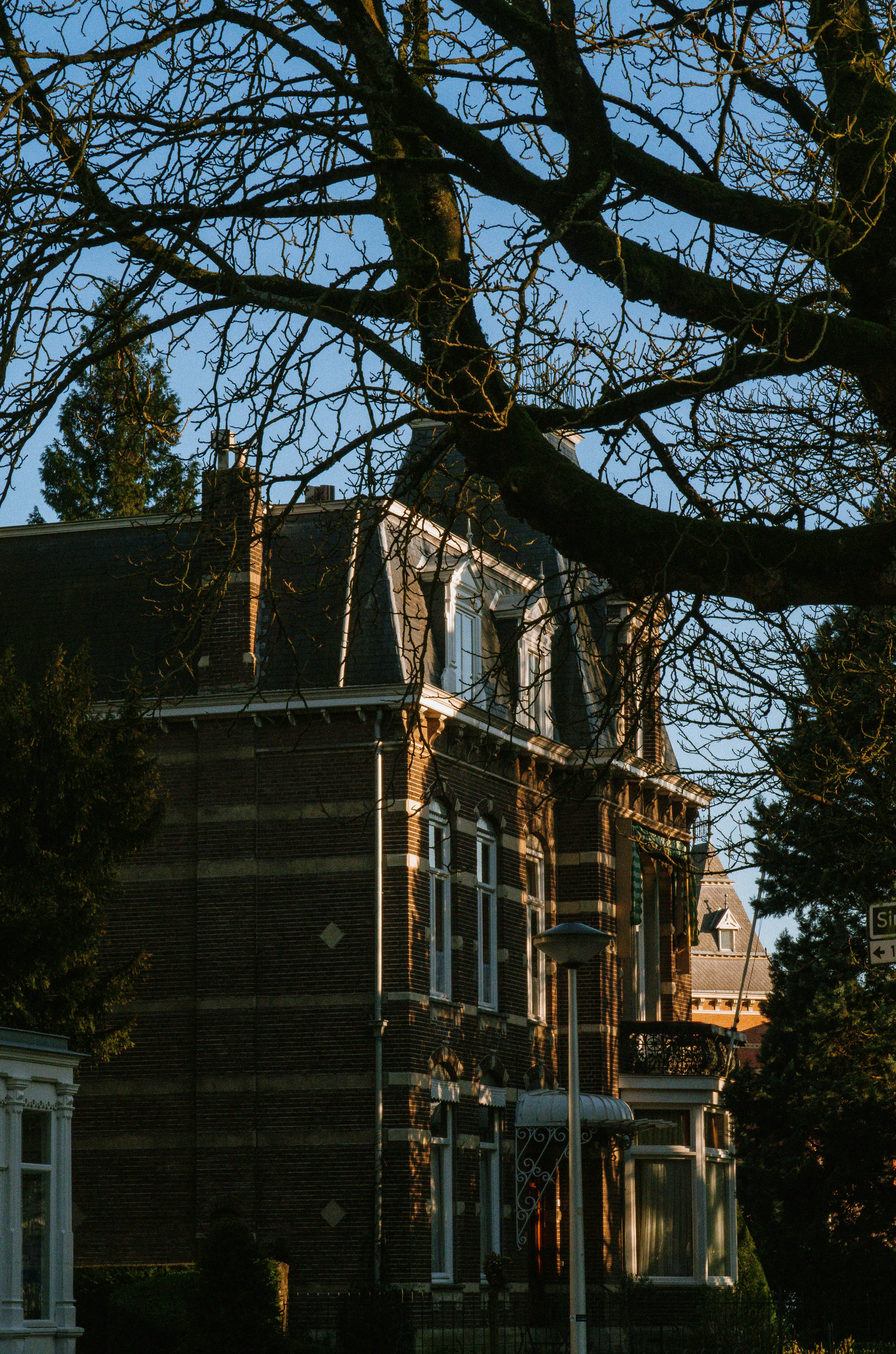 Photo by seenthroughmpk