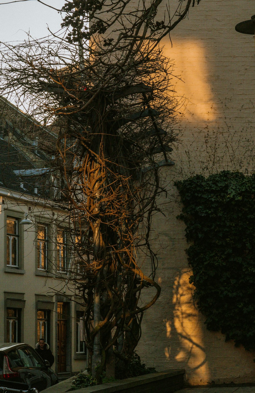 a building with vines growing on the side of it