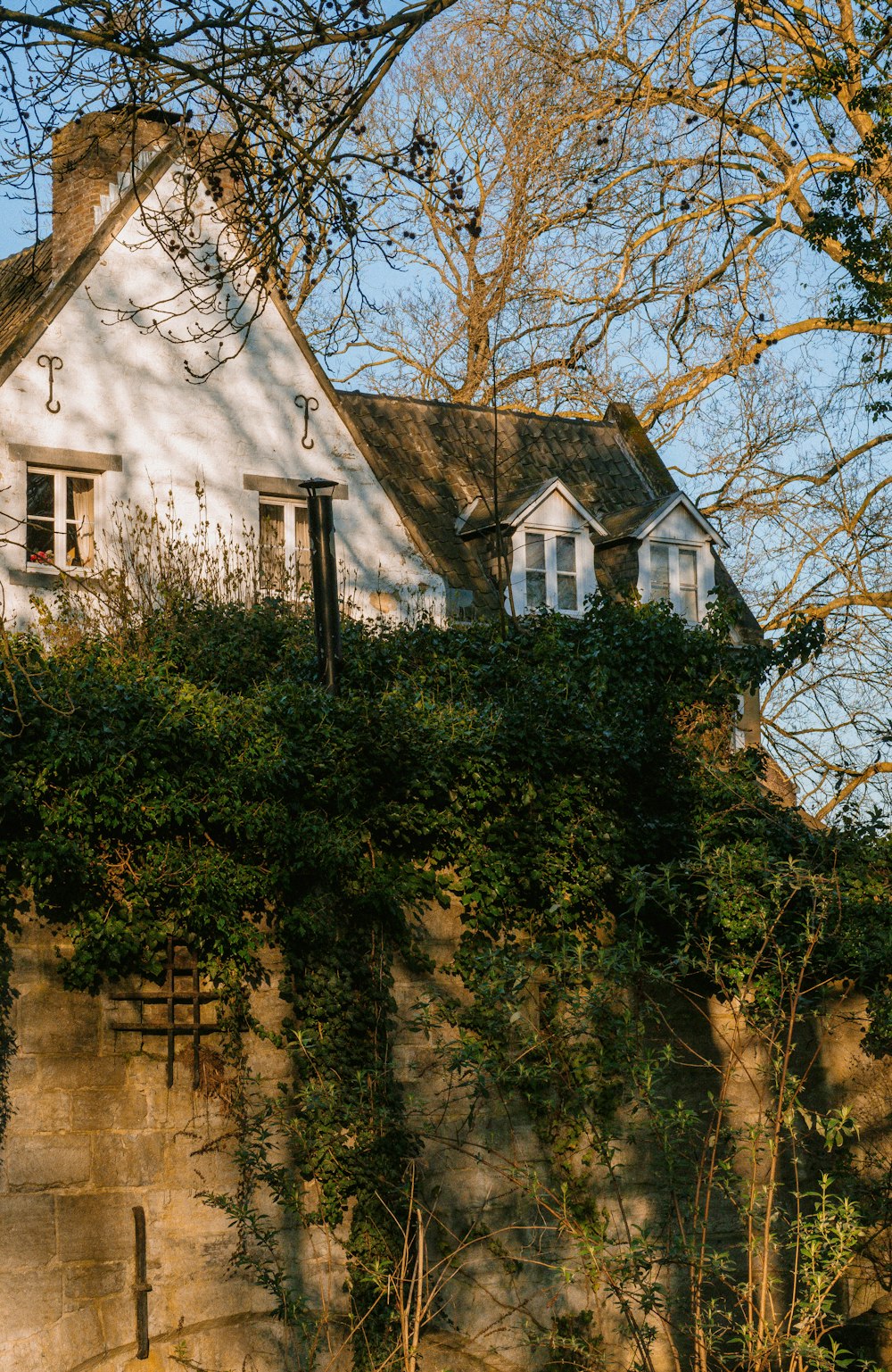 a white house with ivy growing on the side of it