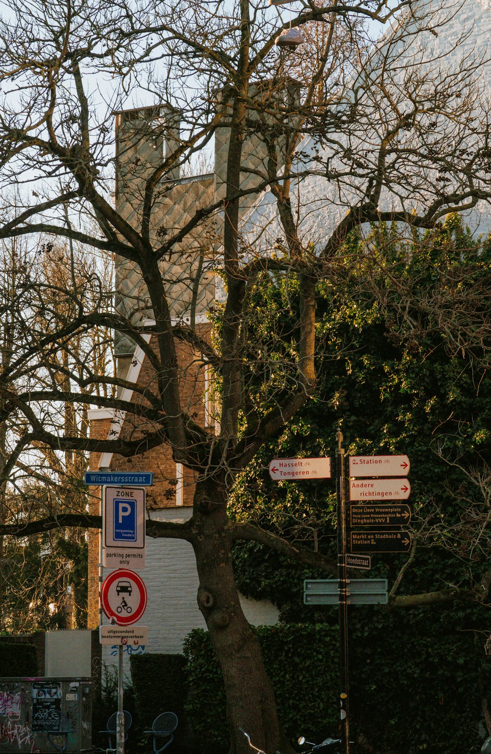 a tree with no leaves in front of a building