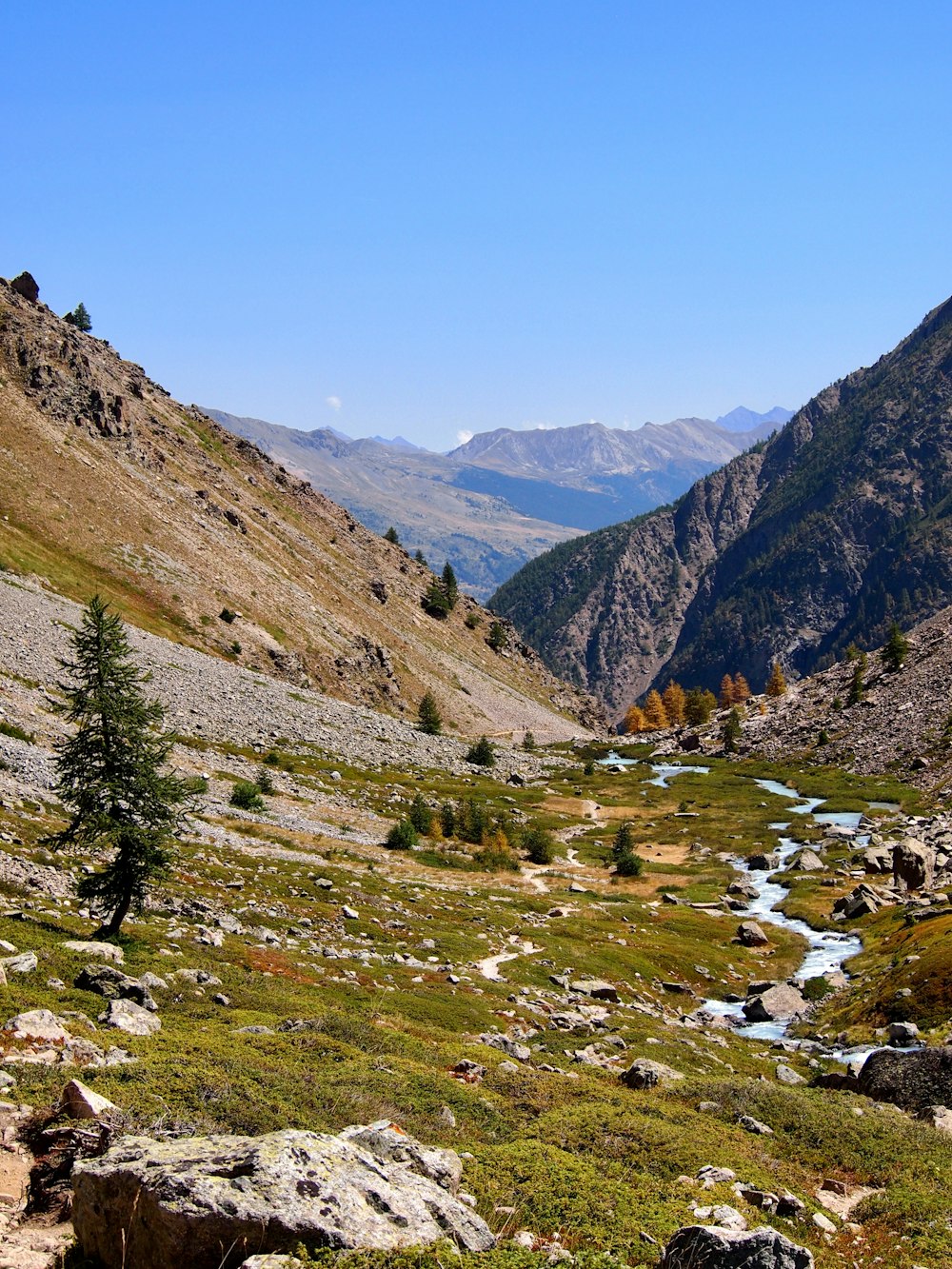 a mountain valley with a stream running through it