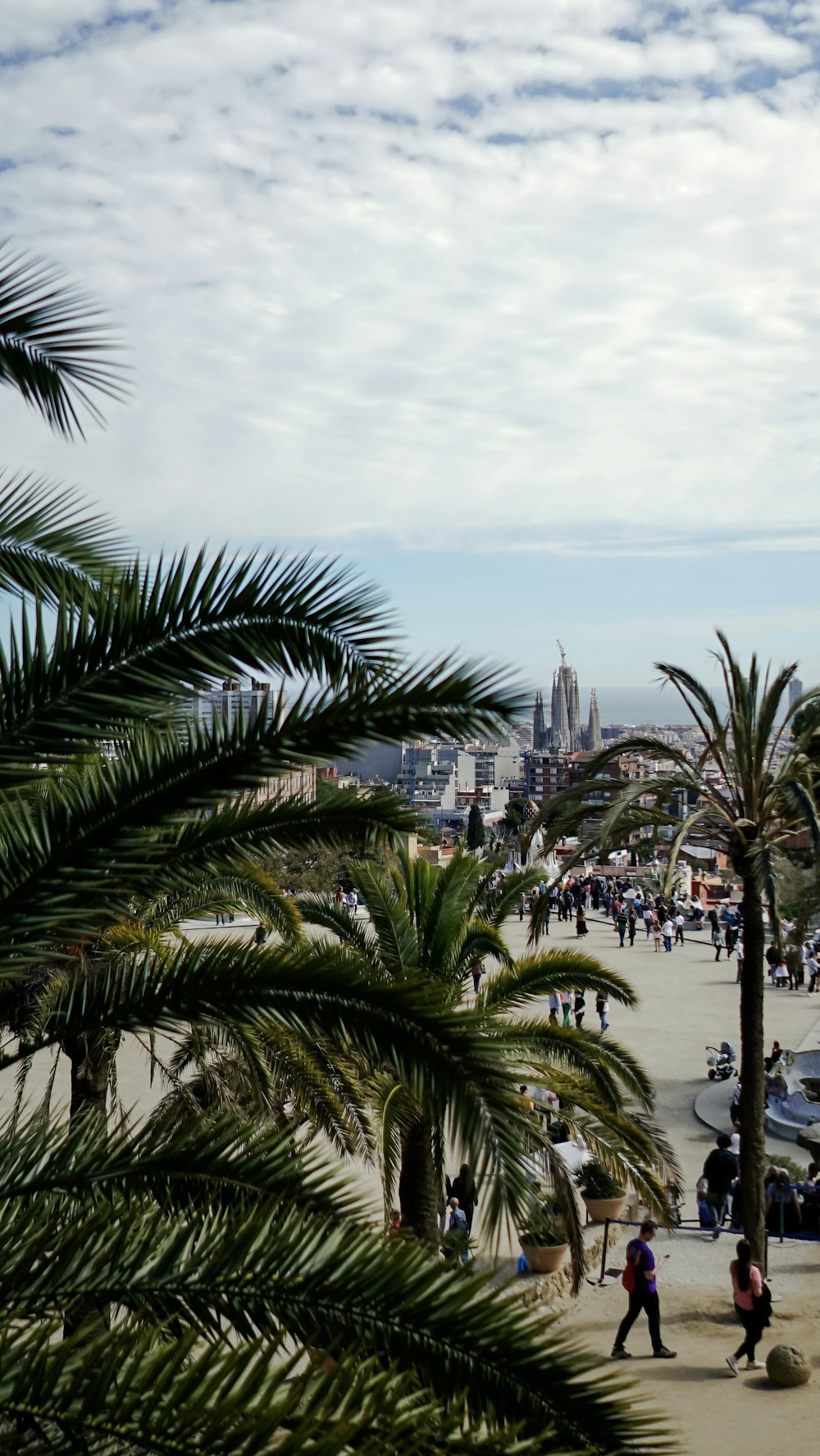 eine Gruppe von Menschen, die an einem Strand neben Palmen spazieren gehen