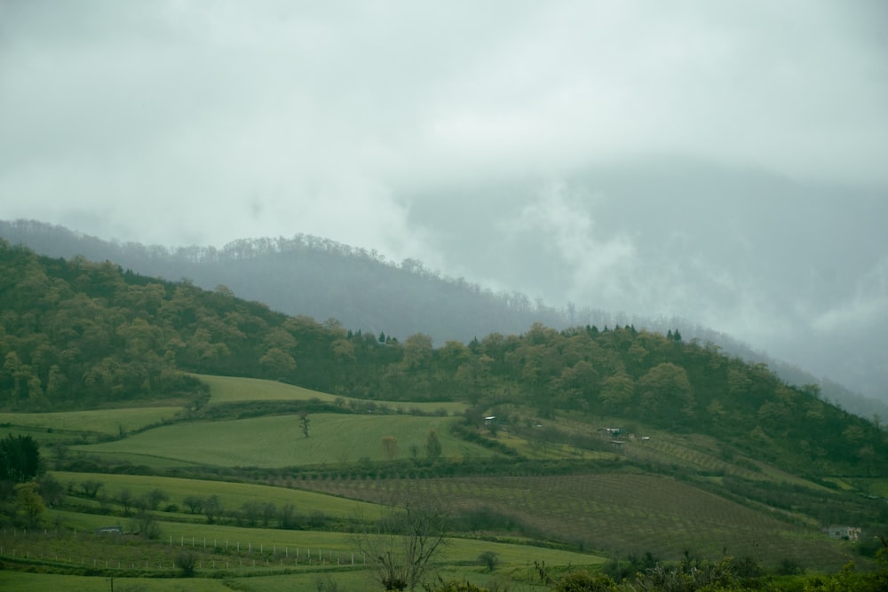 a lush green hillside under a cloudy sky