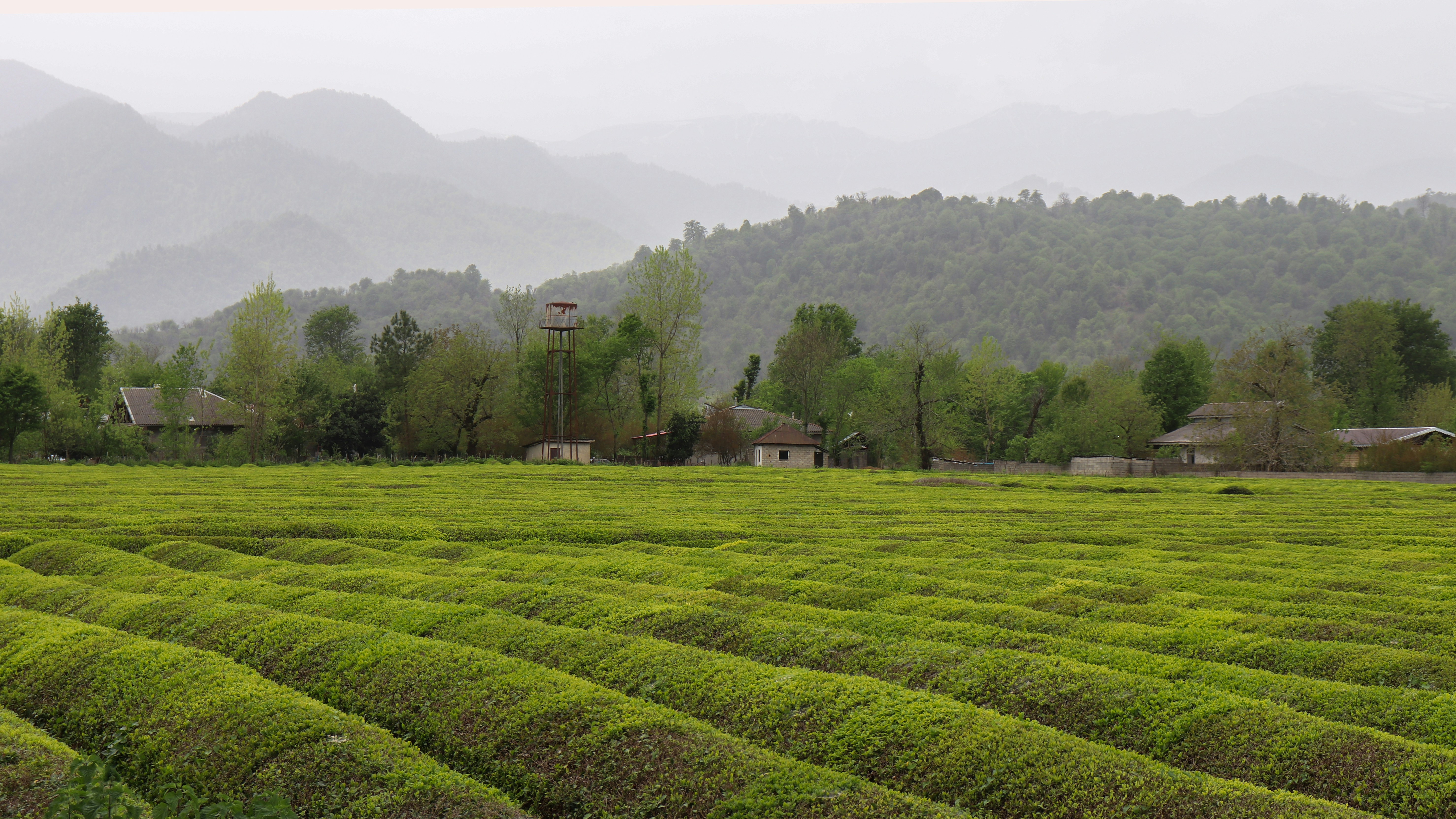 Photo by thevesperstar