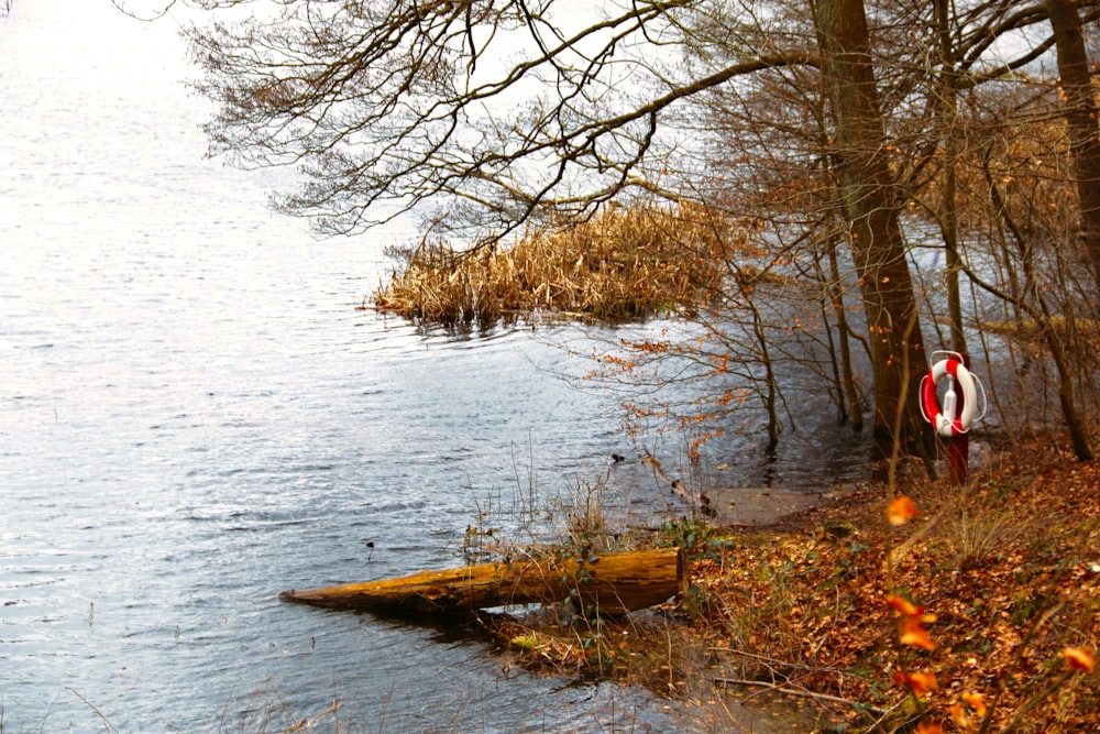 a man standing next to a body of water