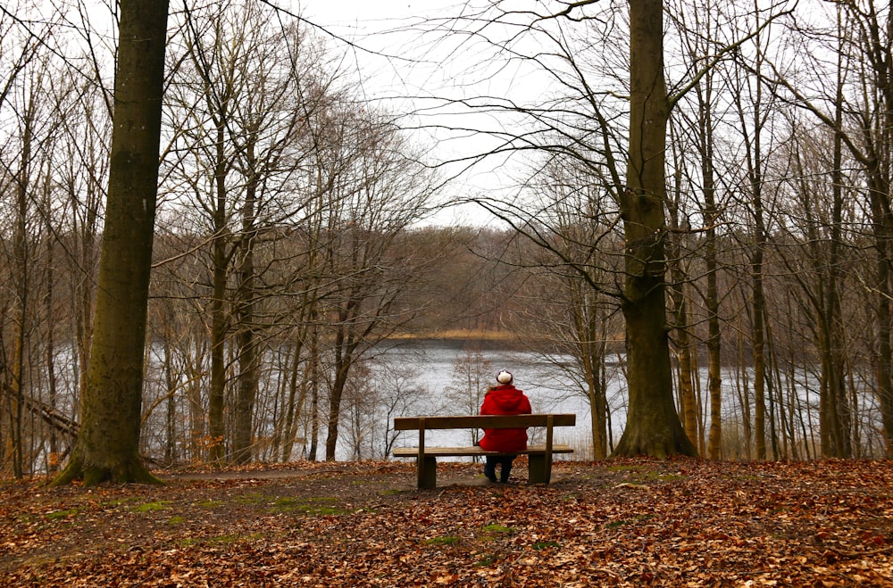 a person sitting on a bench in the woods