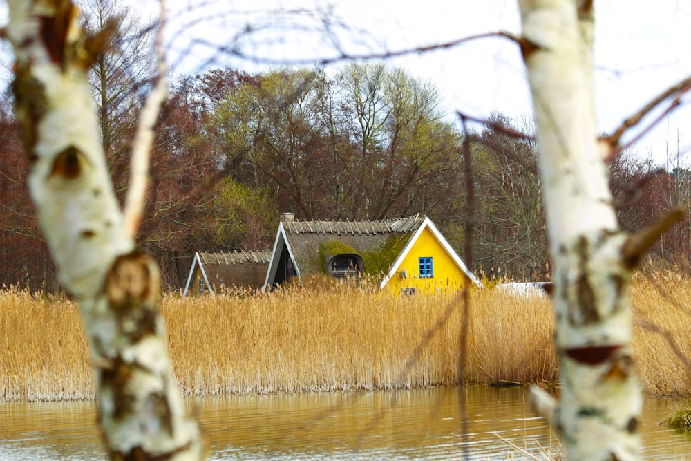 a house sitting on top of a lake next to a forest