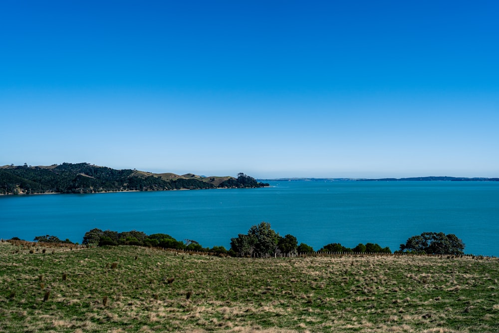 a large body of water sitting next to a lush green field