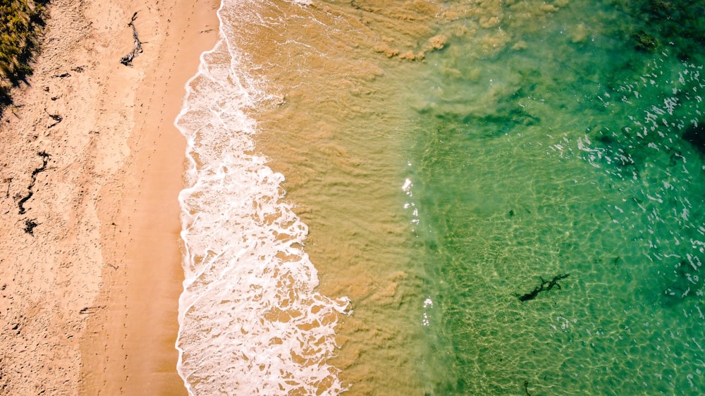 a bird's eye view of a beach and ocean