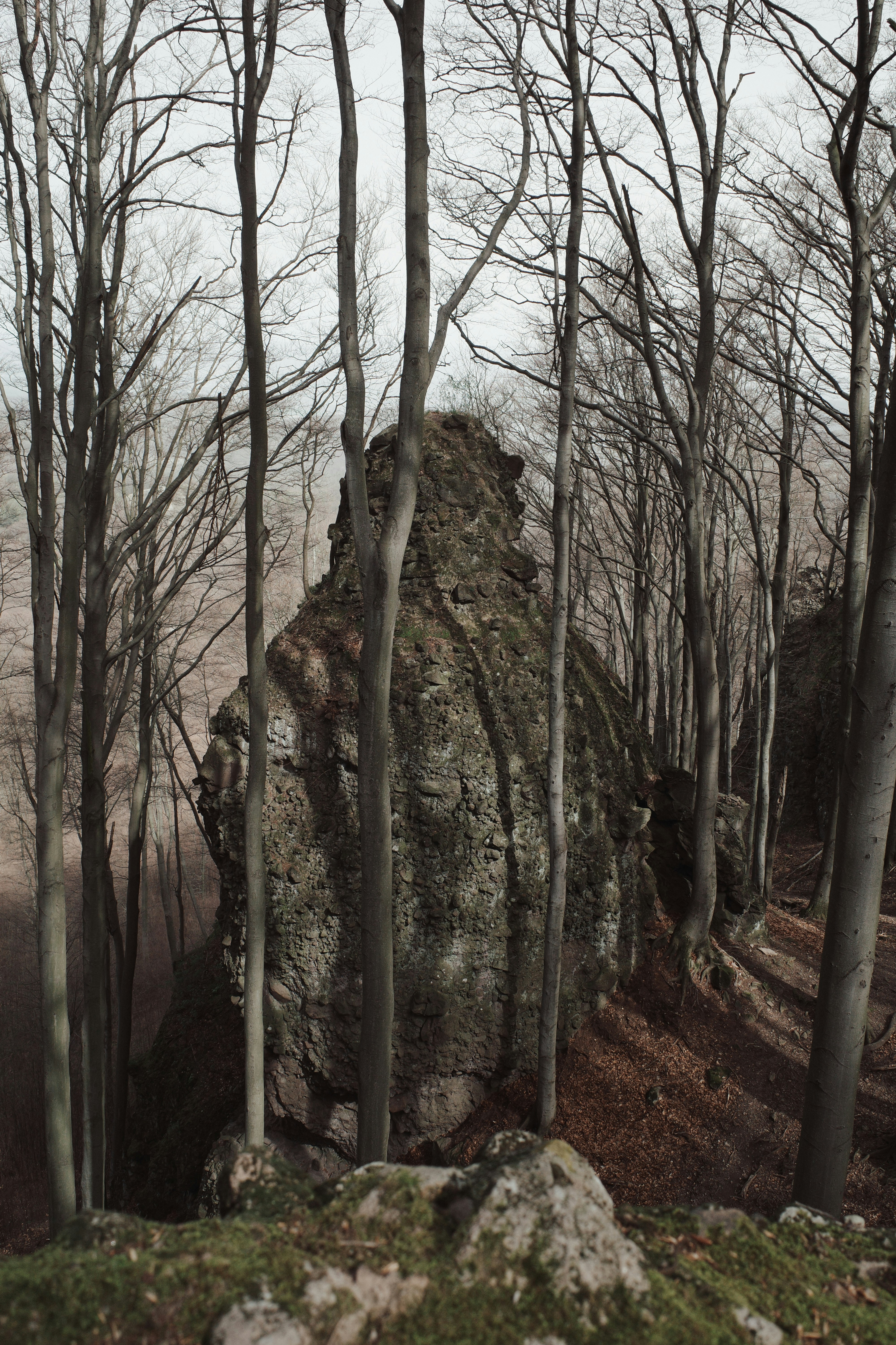 Photo by stachmann