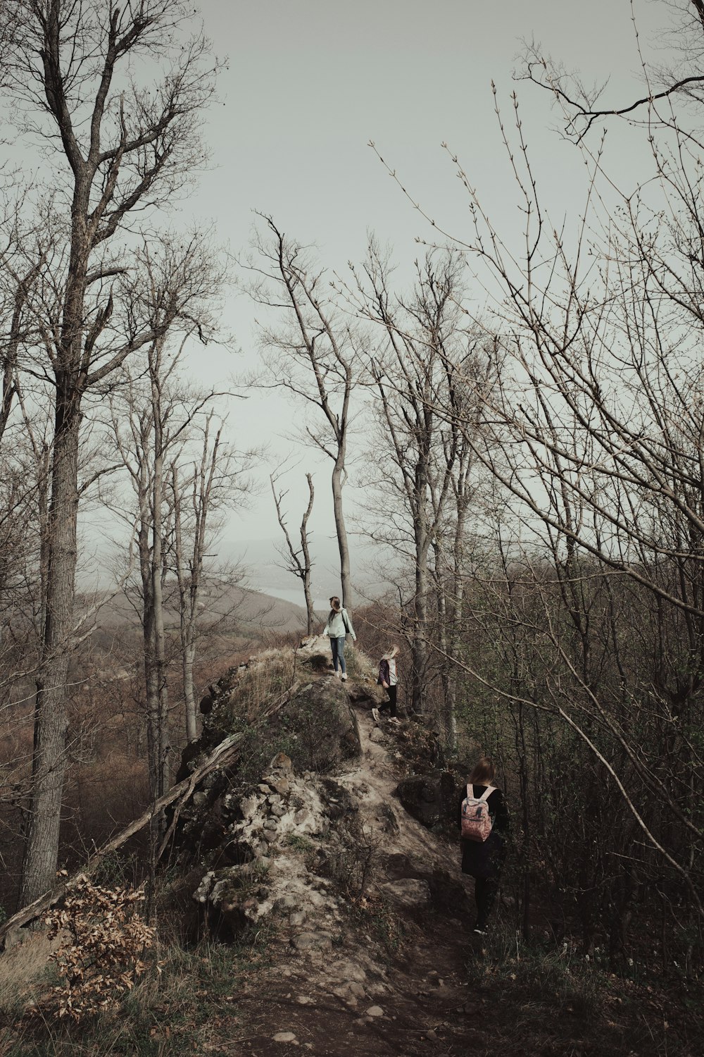 a group of people walking up a hill in the woods