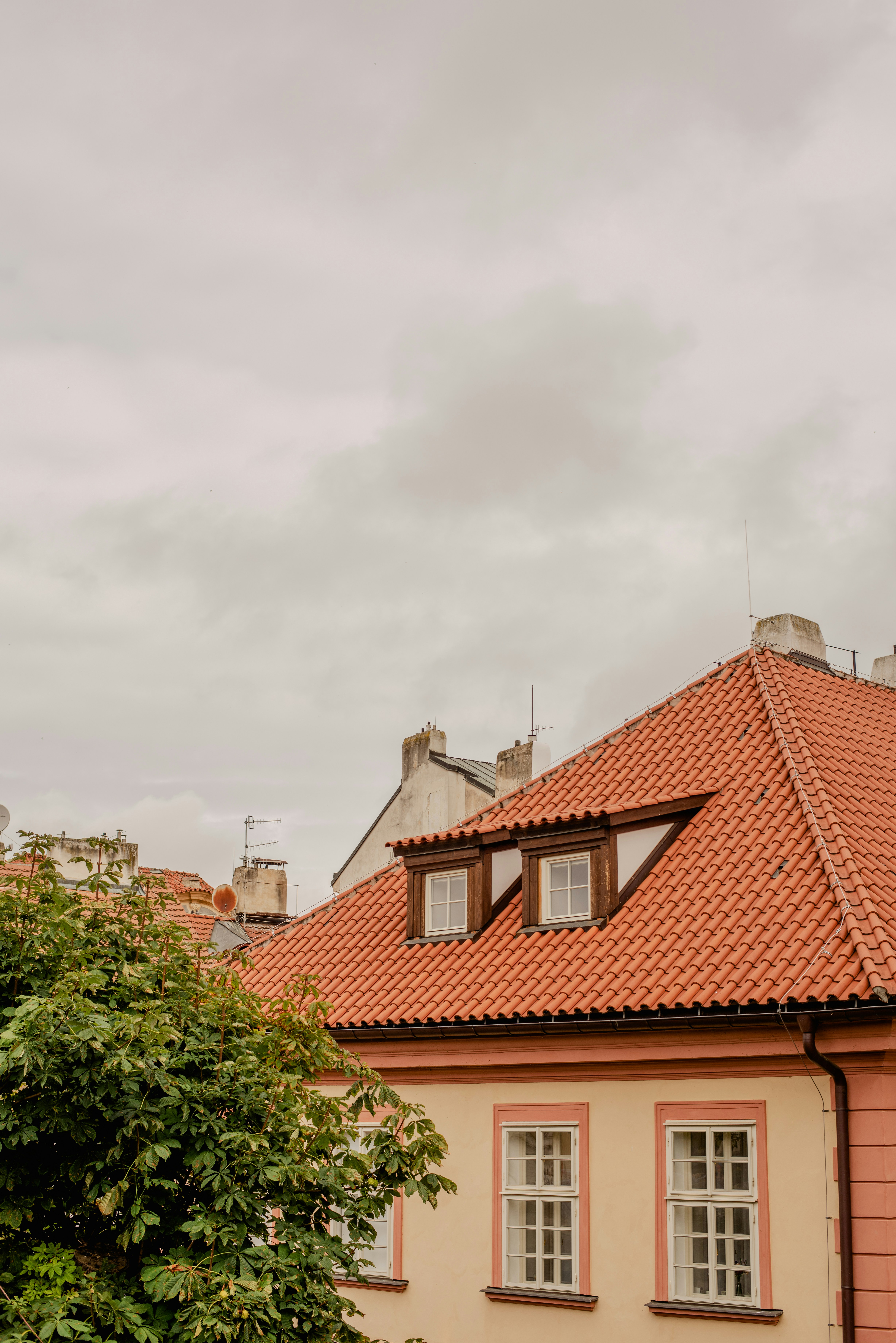 Photo by eugenivy_now