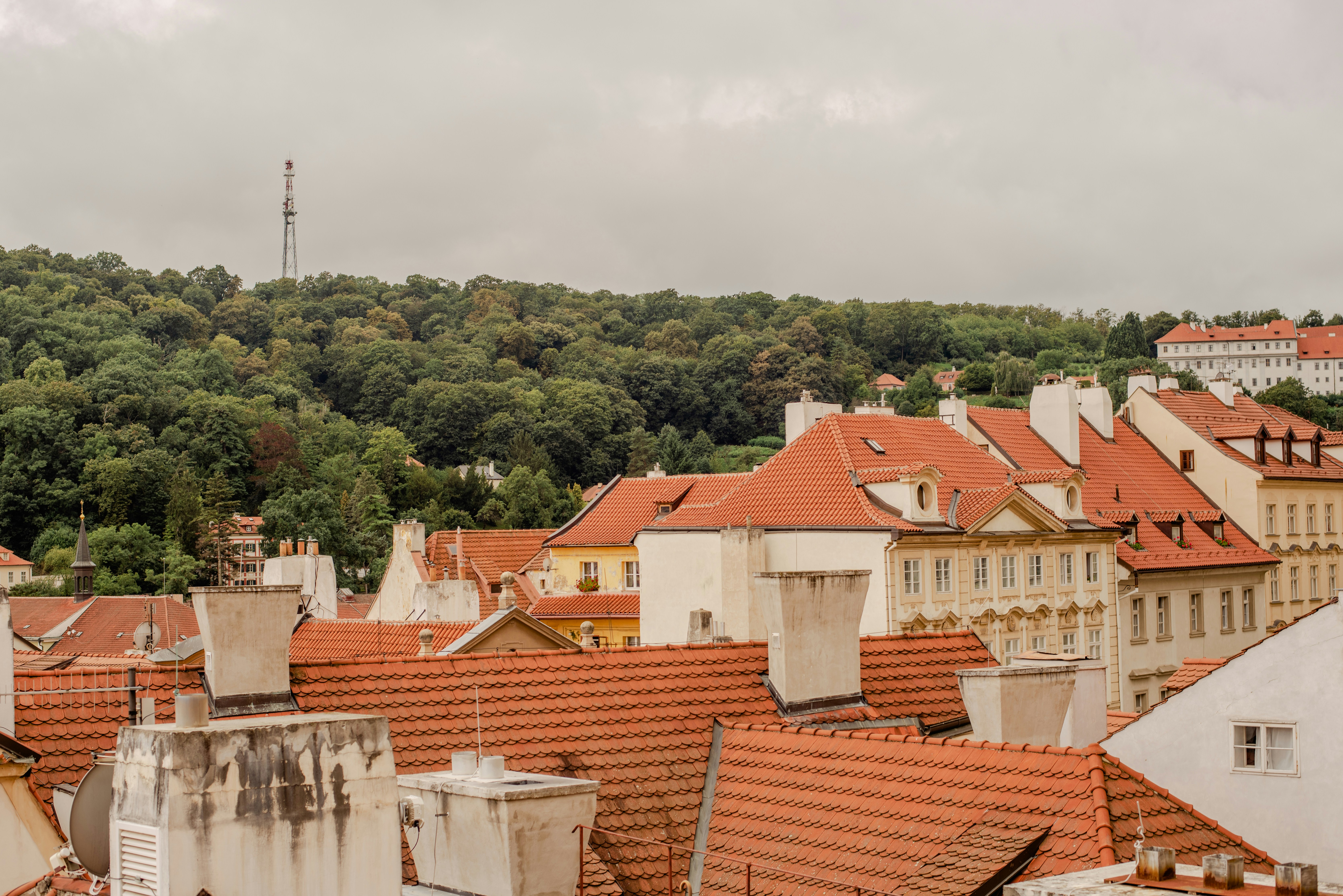 Photo by eugenivy_now