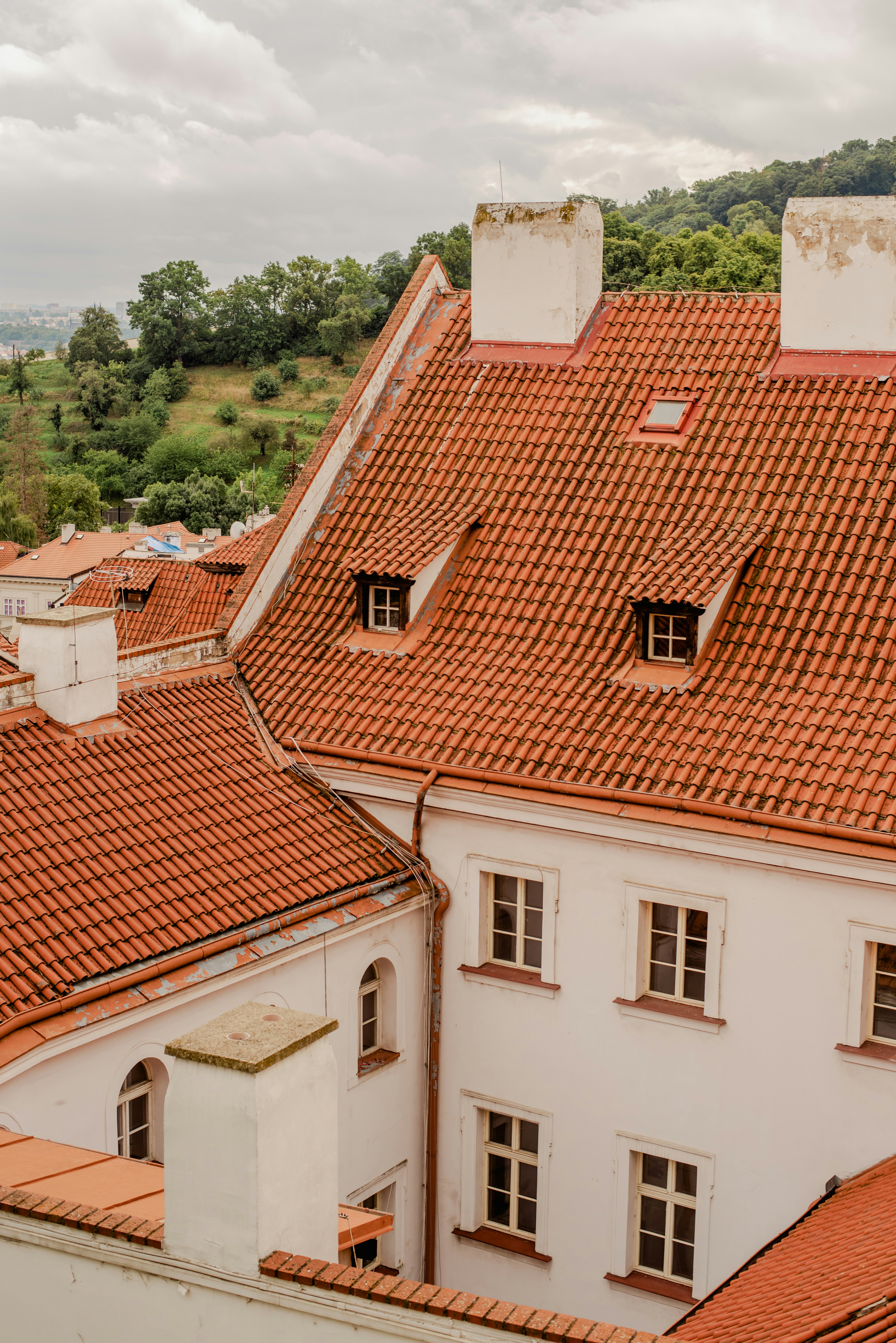 Photo by eugenivy_now