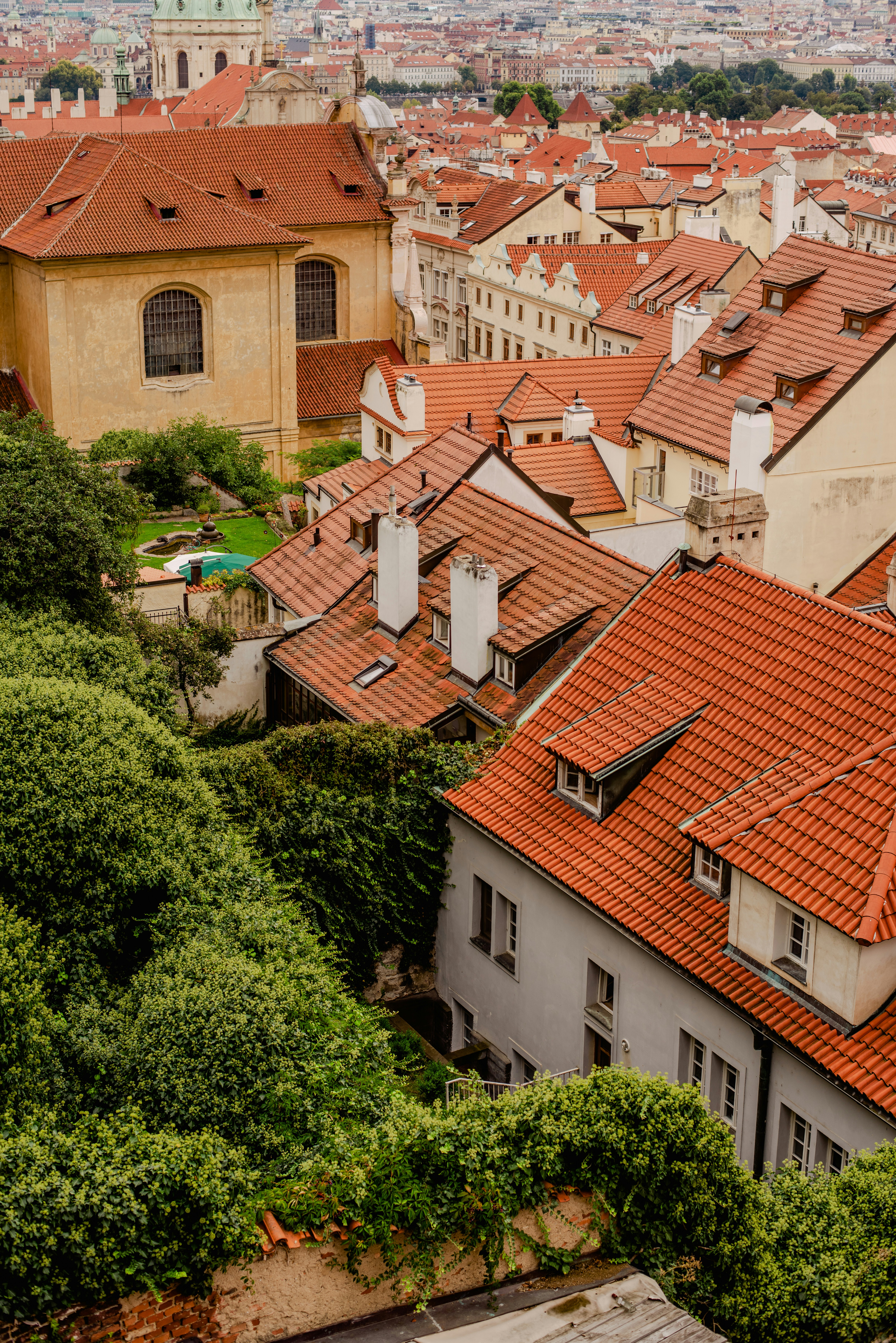 Photo by eugenivy_now