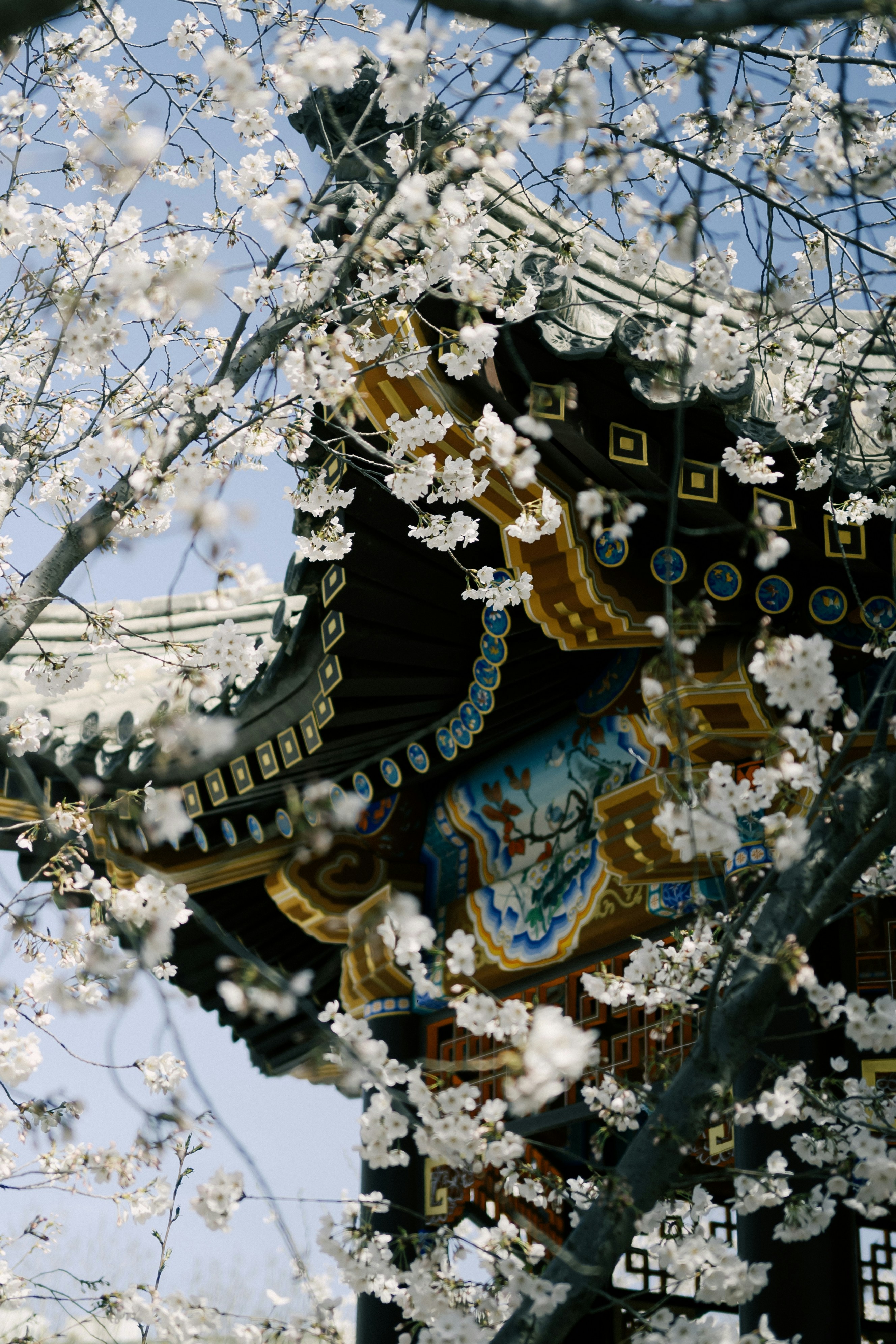 Photo by idwyss