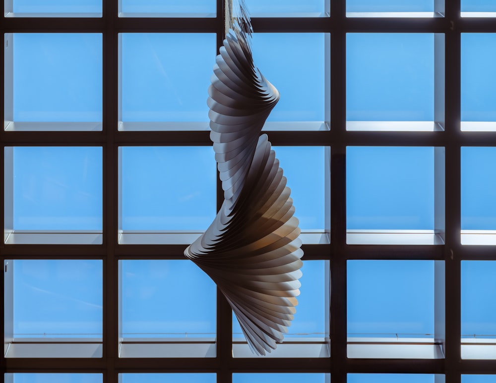 a bird is flying in front of a window