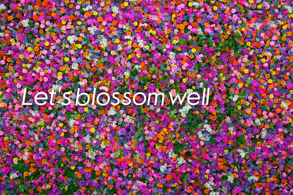 a field of flowers with the words let blossom well