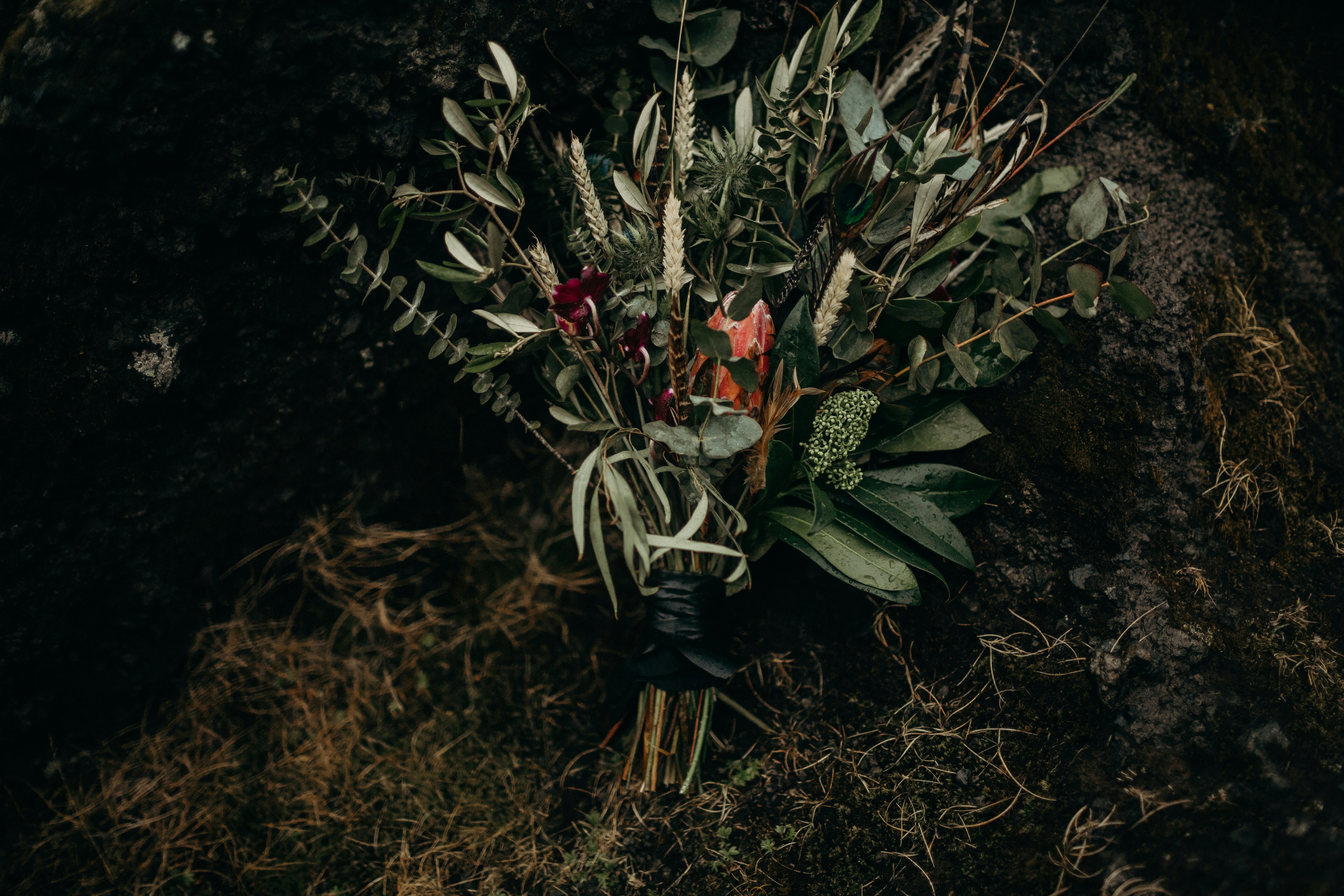 Photo by iskra_photography