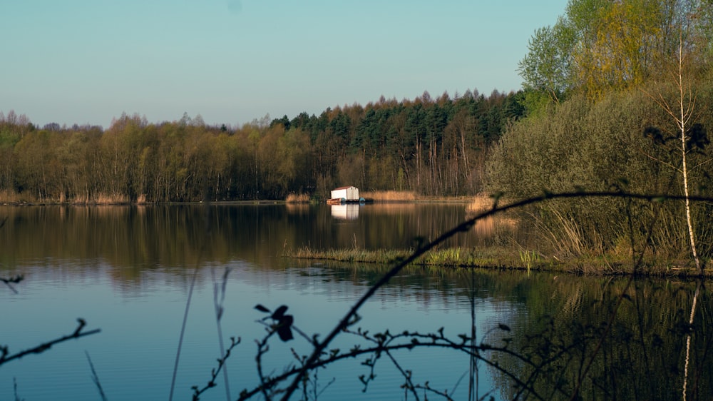 a boat on a lake surrounded by trees