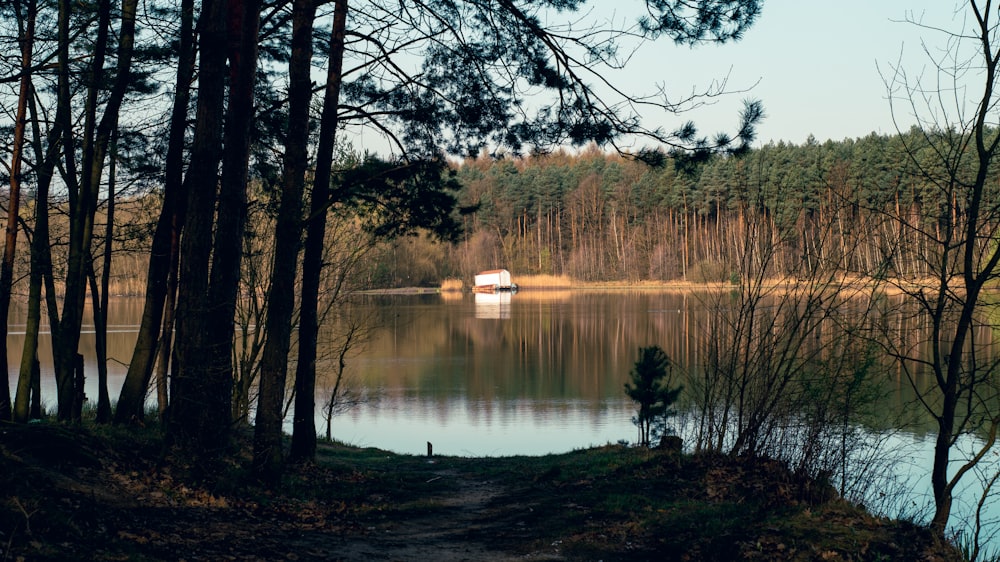 a boat on a lake surrounded by trees