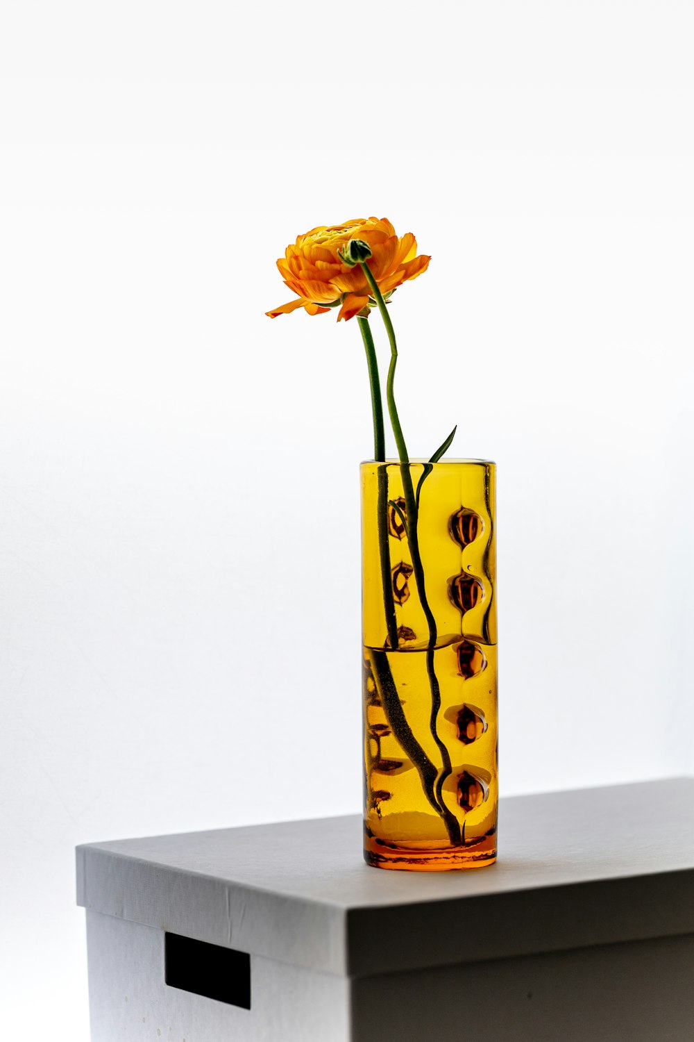 Eine gelbe Blume steht in einer gelben Vase