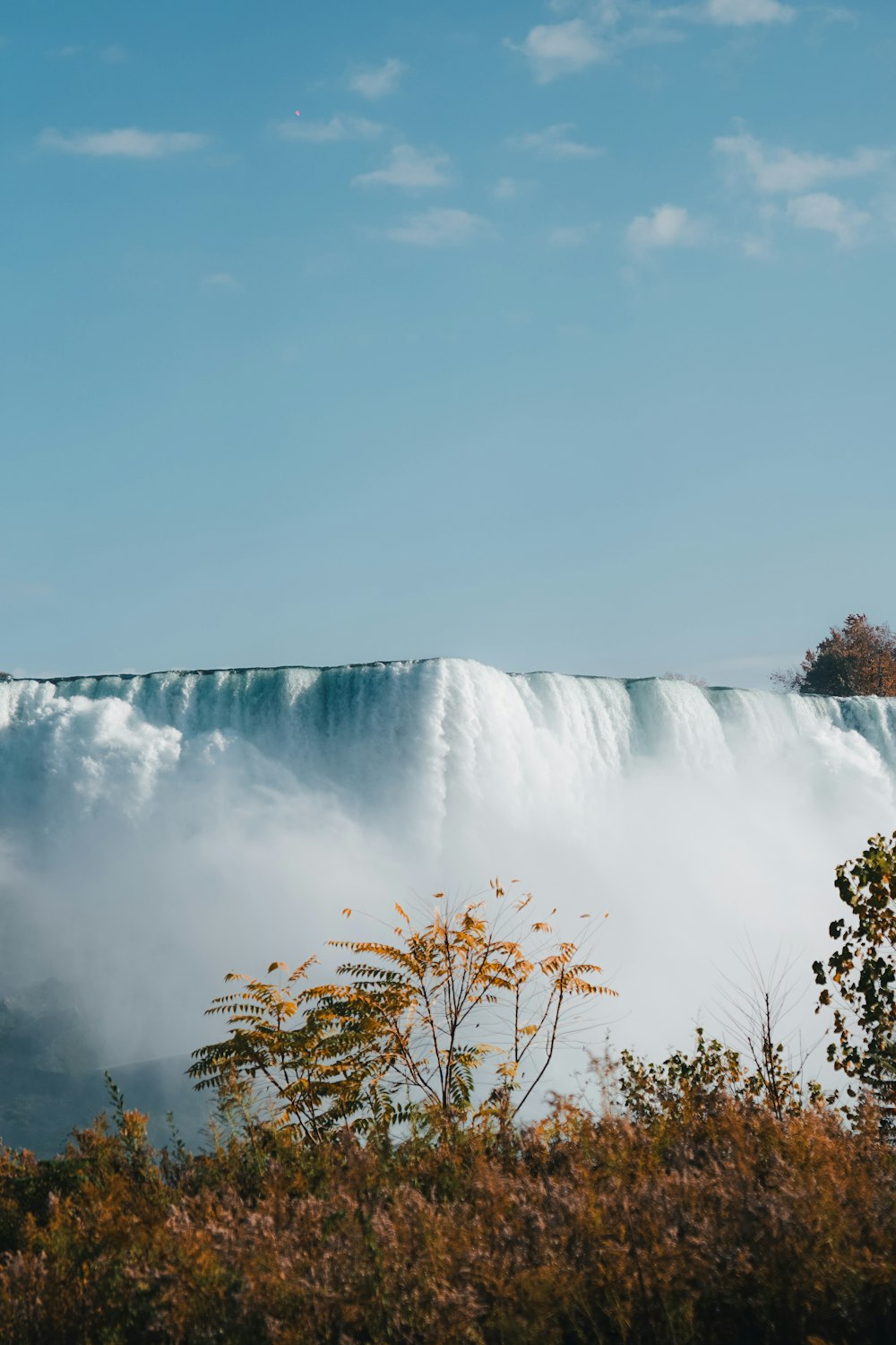 a view of a large waterfall in the middle of a forest