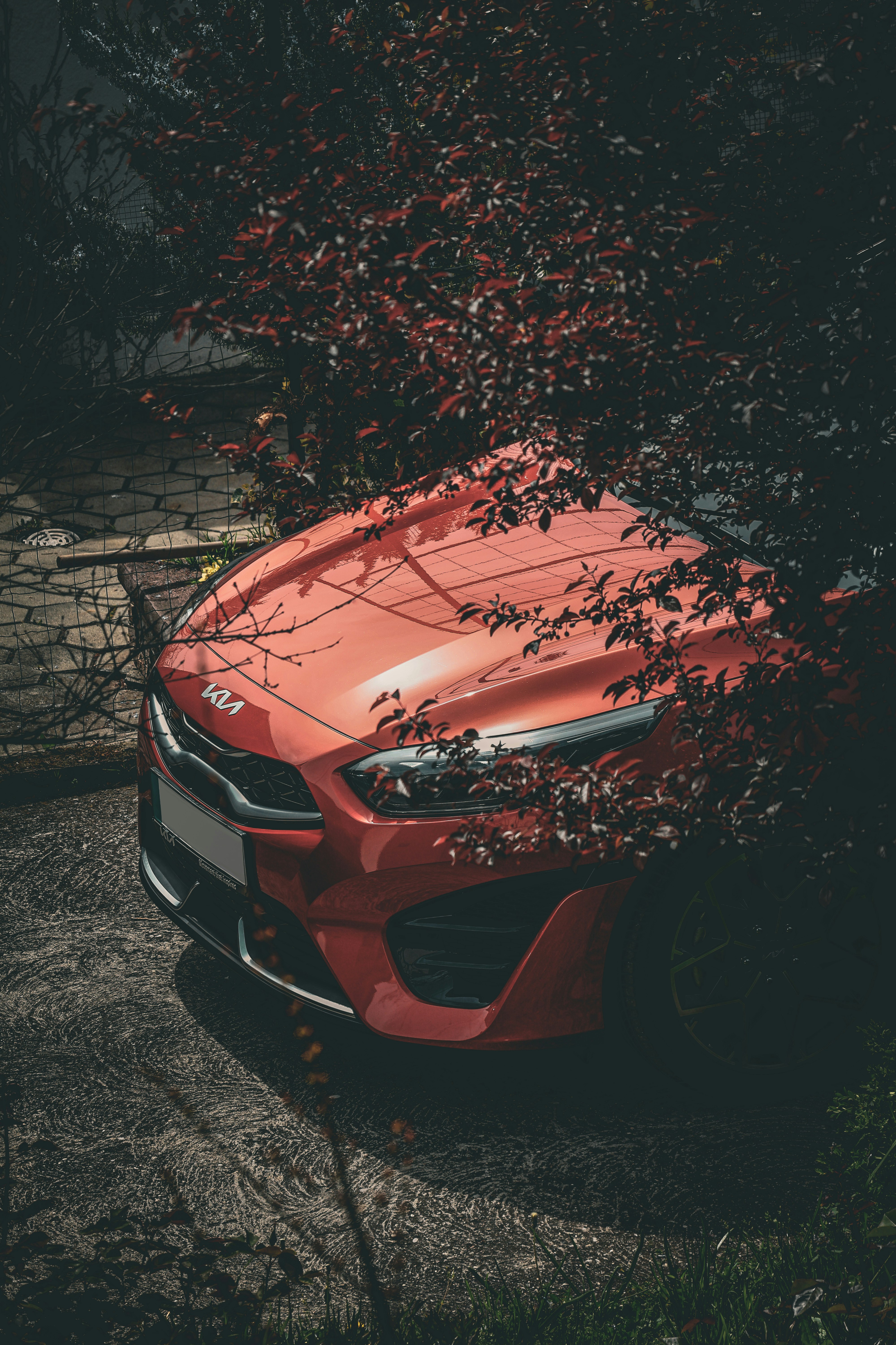 a red sports car parked in front of a tree