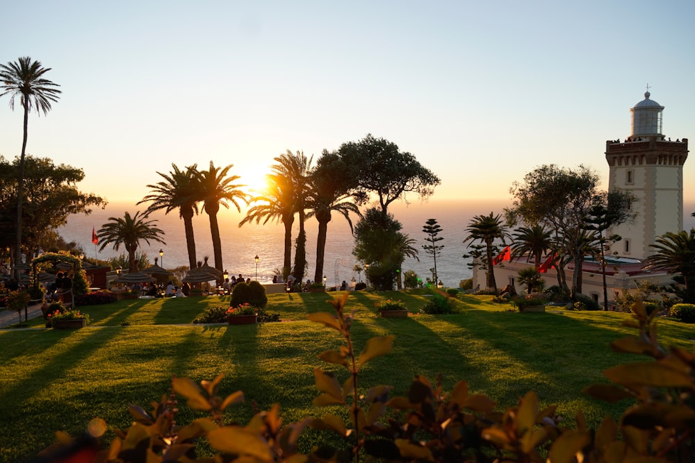 a grassy area with palm trees and a lighthouse in the background