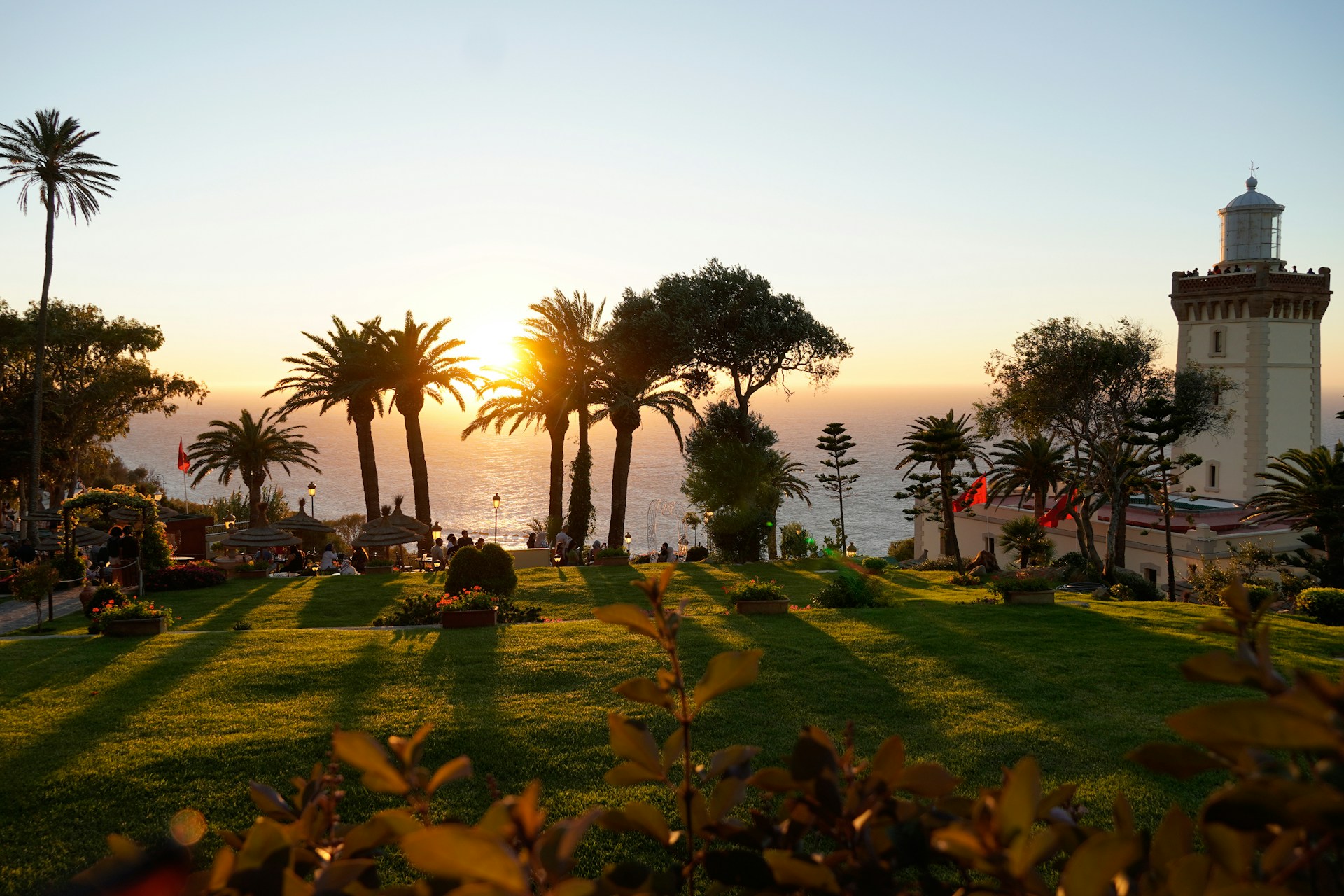 a grassy area with palm trees and a lighthouse in the background