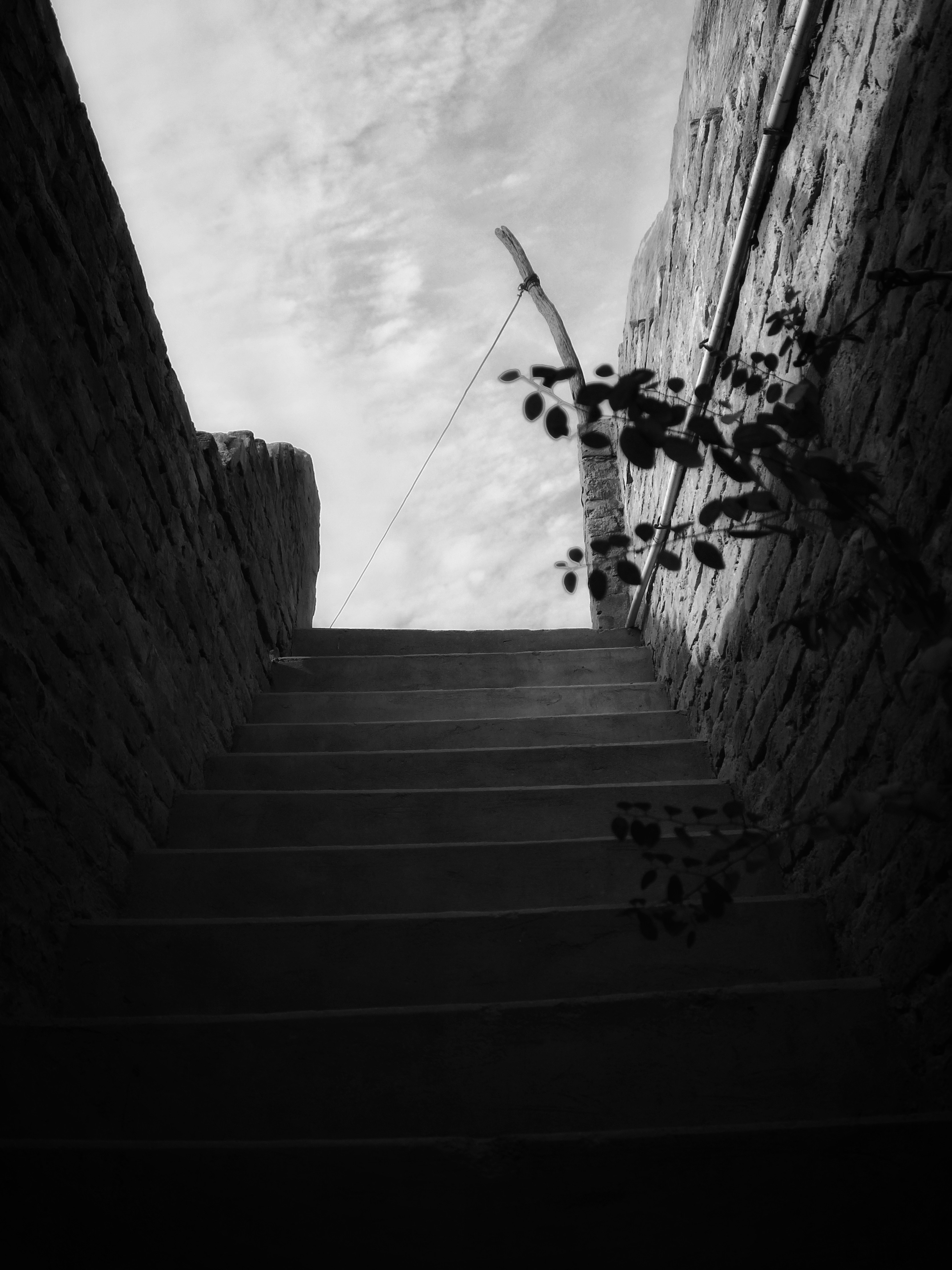 a black and white photo of a stairway