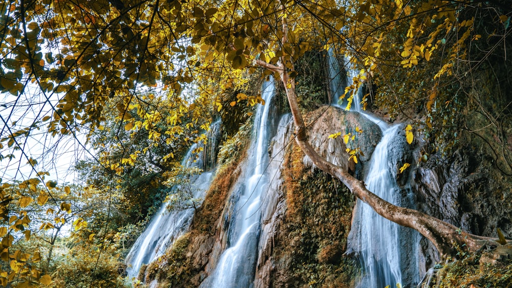 a very tall waterfall in the middle of a forest