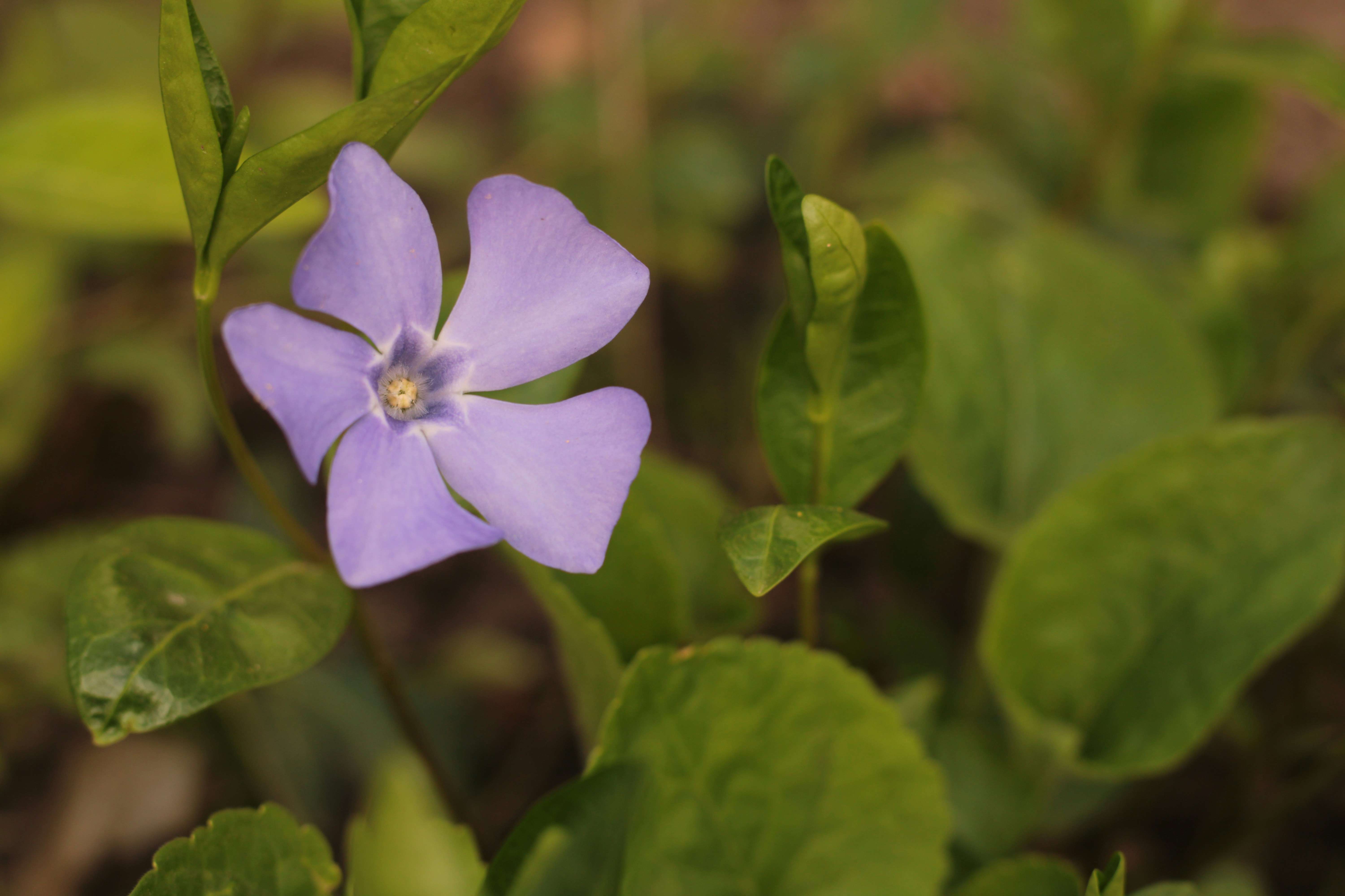 Photo by thorai9akira