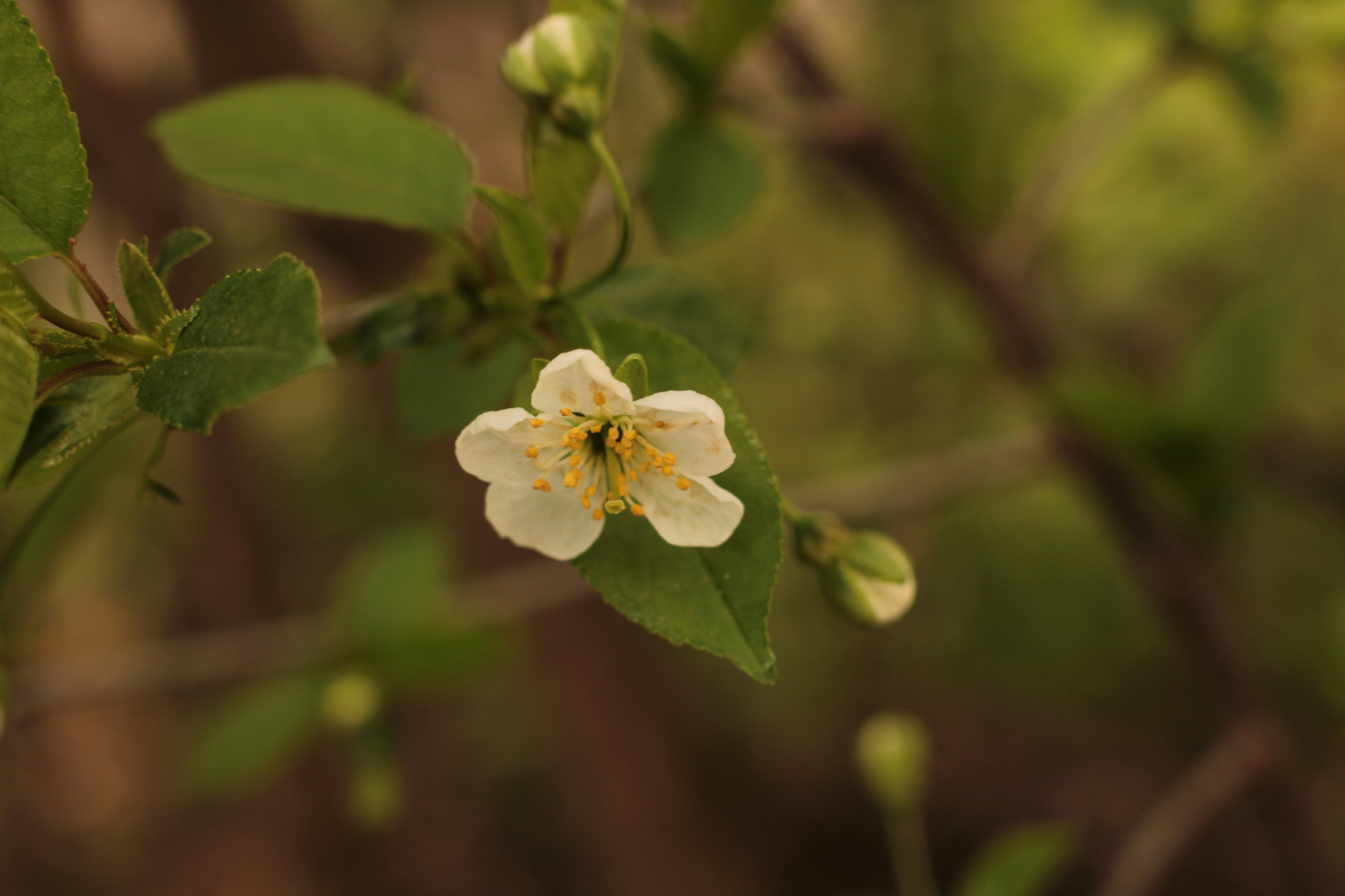 Photo by thorai9akira